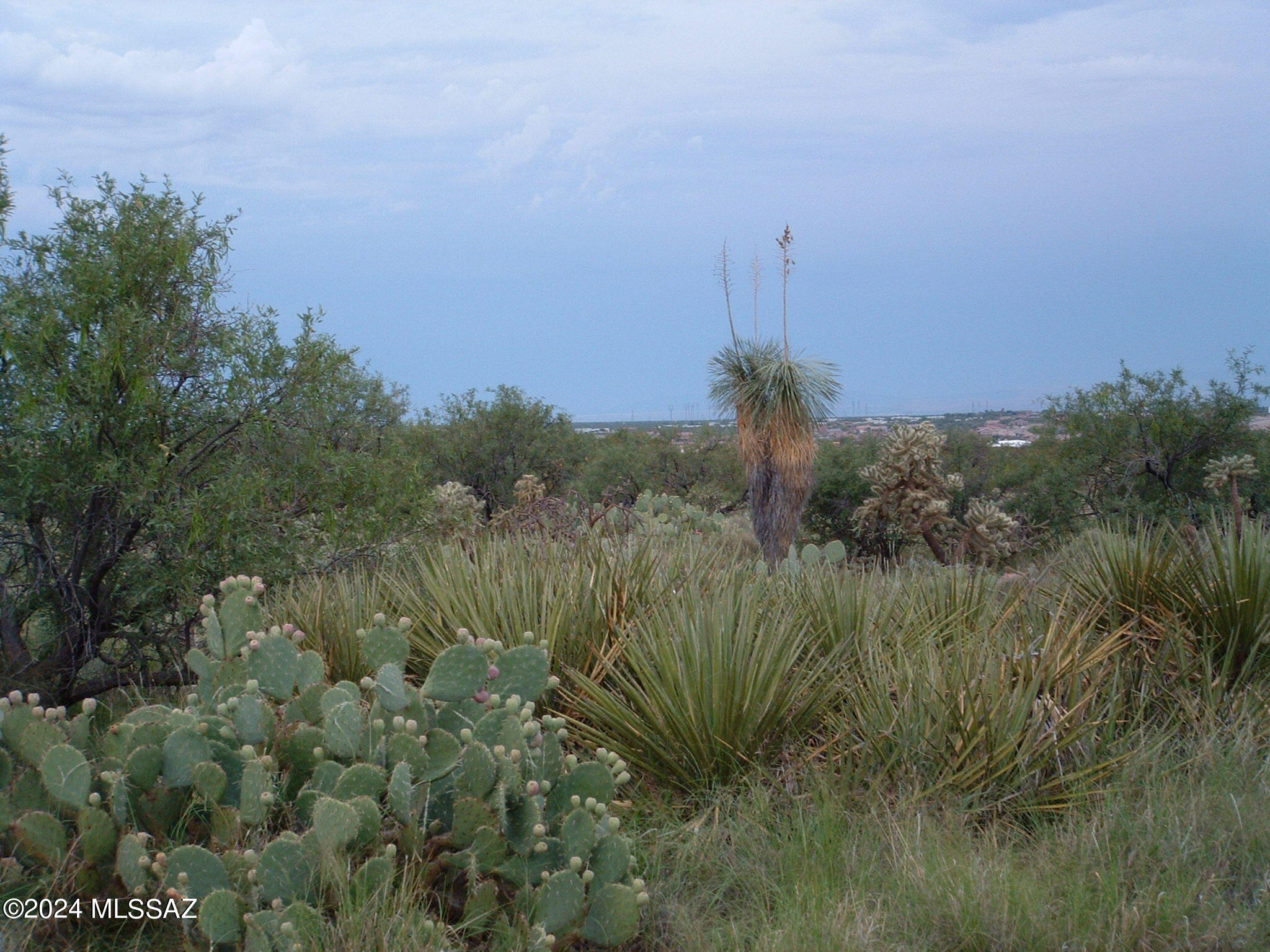 Rancho Salado Estates - Land