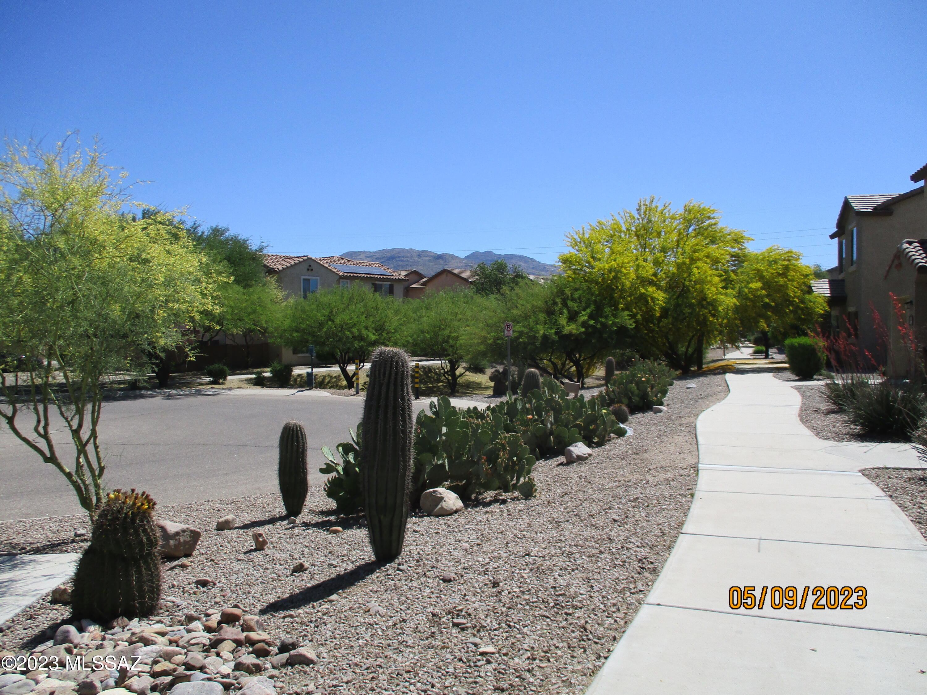 Sierra Morado Unit 4 - Residential Lease