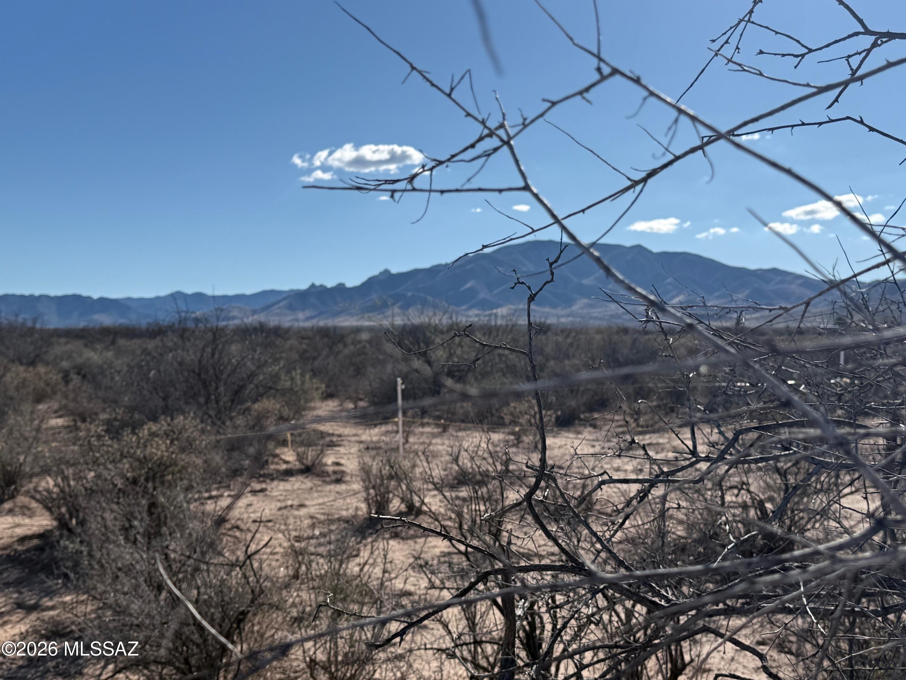 10 flat acres 332' x 1322' in Cochise, AZ with mountain views and wide open spaces. The property includes an undeveloped well drilled in 2006 to a depth of  445' just waiting for someone to come in and create their own little homestead. Zoned Cochise County RU-4 and located within about a 10 minute drive to the the small town of Sunsites, 30 minutes to Benson and 30 minutes to Willcox.