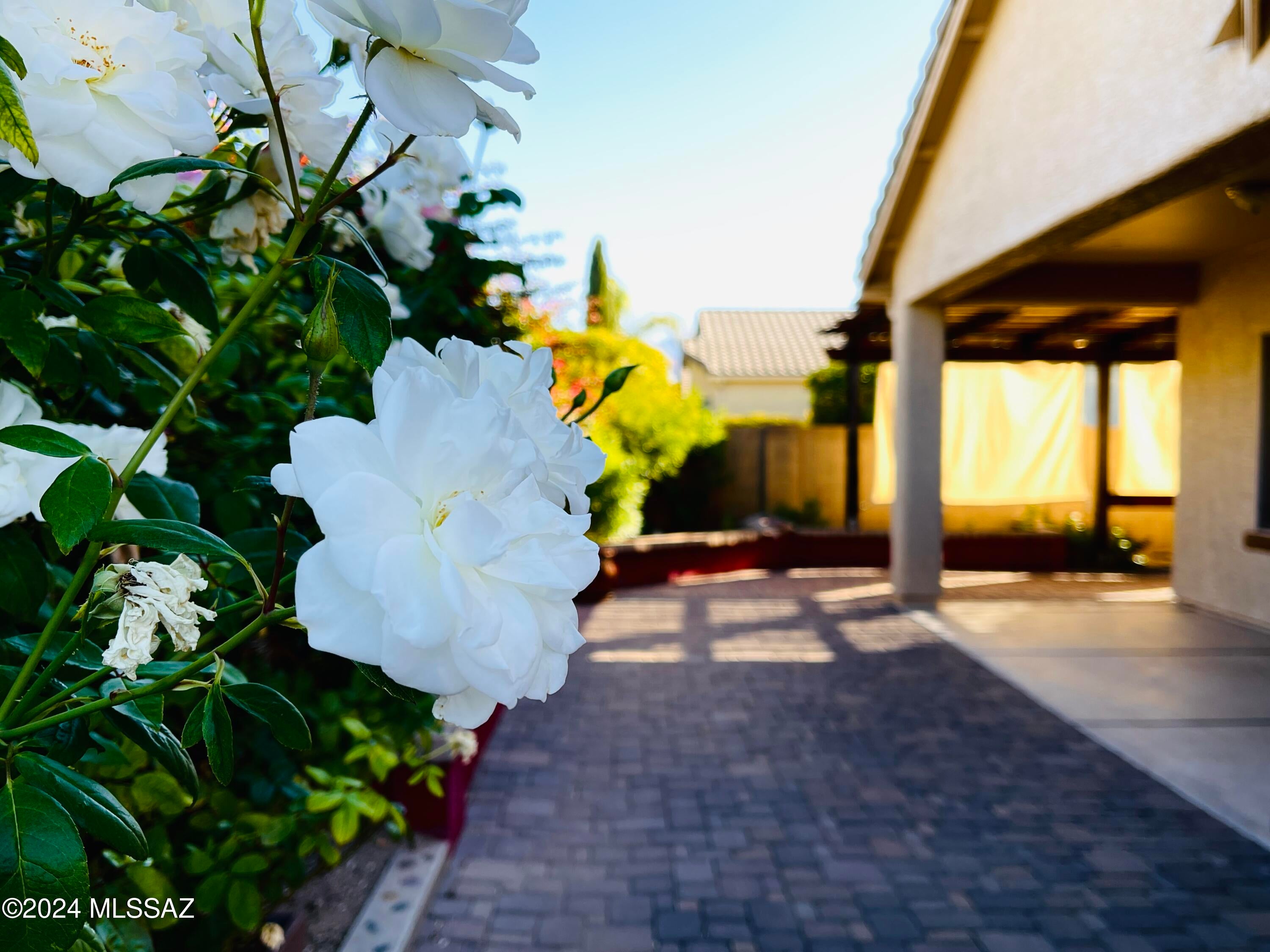 Rancho Vistoso NGHB 10 & 11 (1-360) - Residential Lease