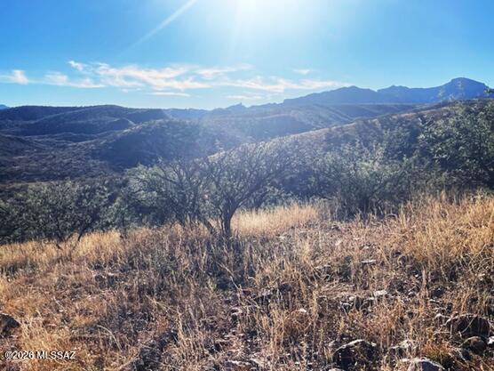 Rio Rico Ranchettes 7 - Land