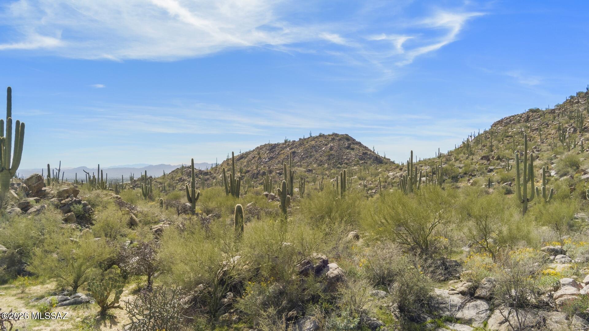 Stone Canyon VII (404-485) - Land
