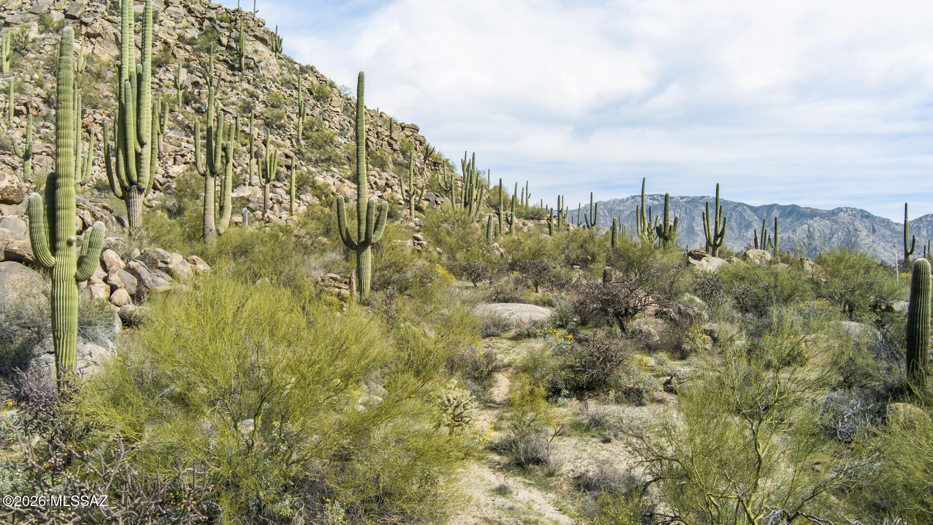 Stone Canyon VII (404-485) - Land