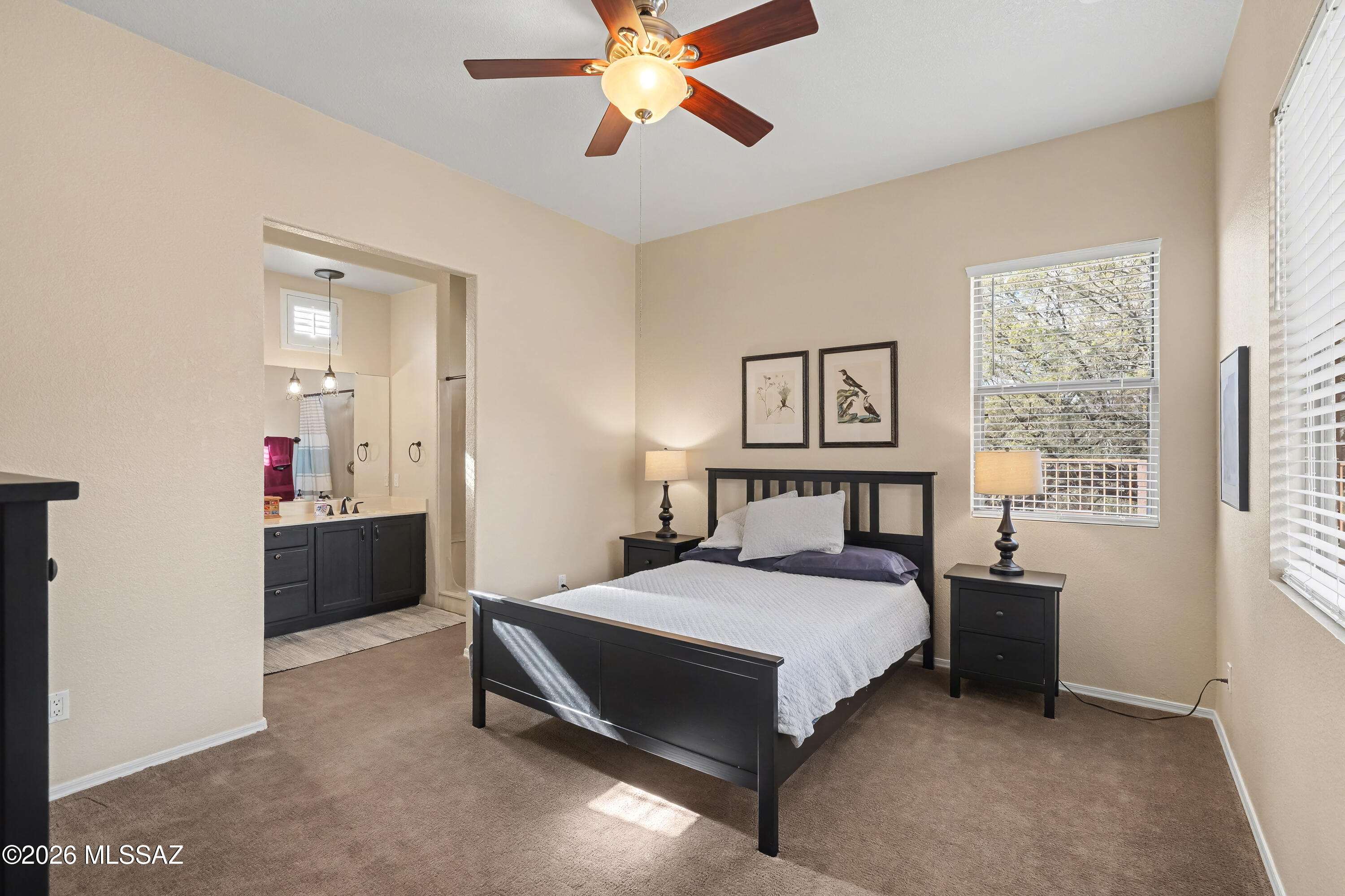 Pinnacle @ Sabino Springs resub (1-62) - Residential