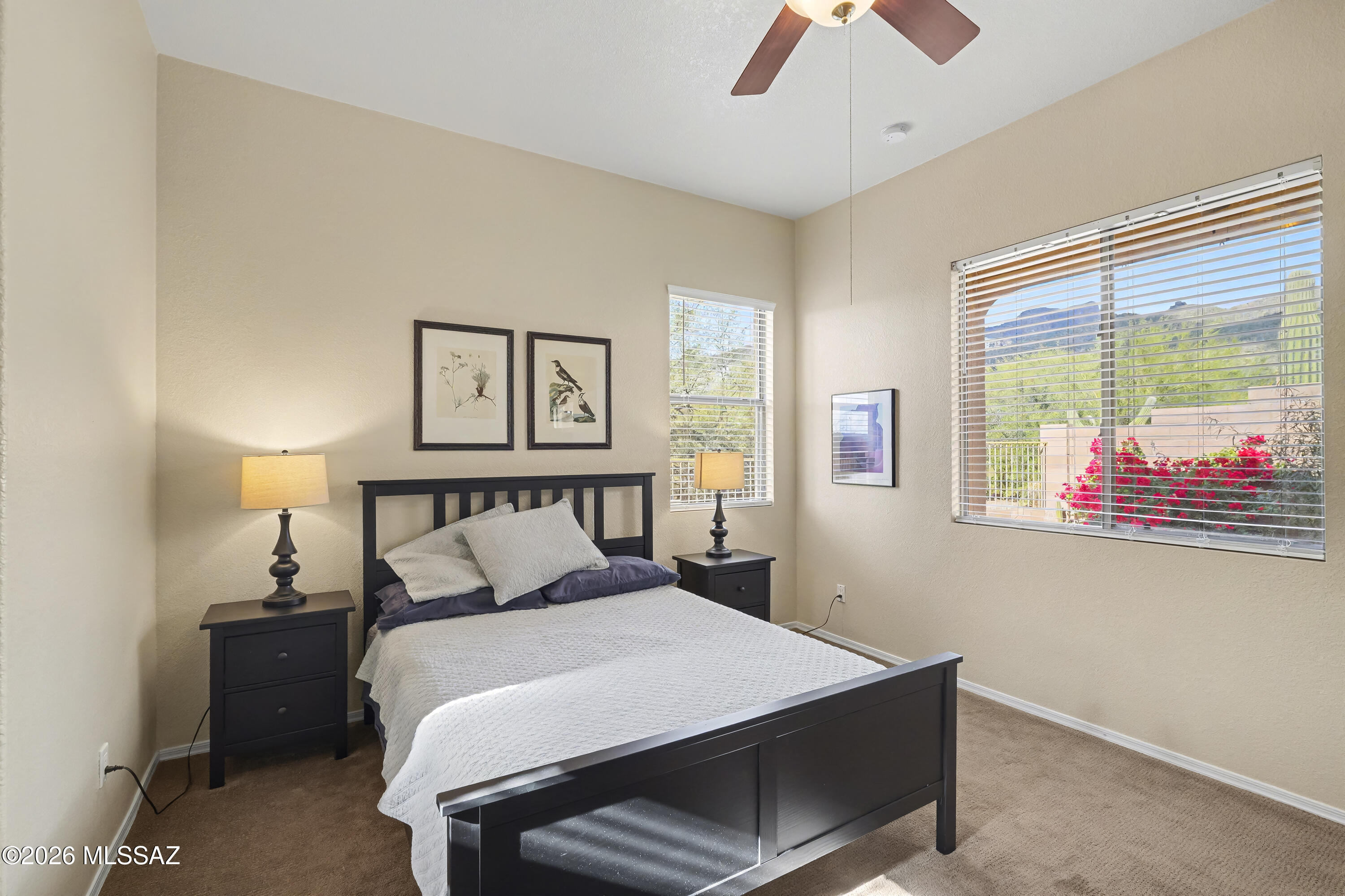 Pinnacle @ Sabino Springs resub (1-62) - Residential