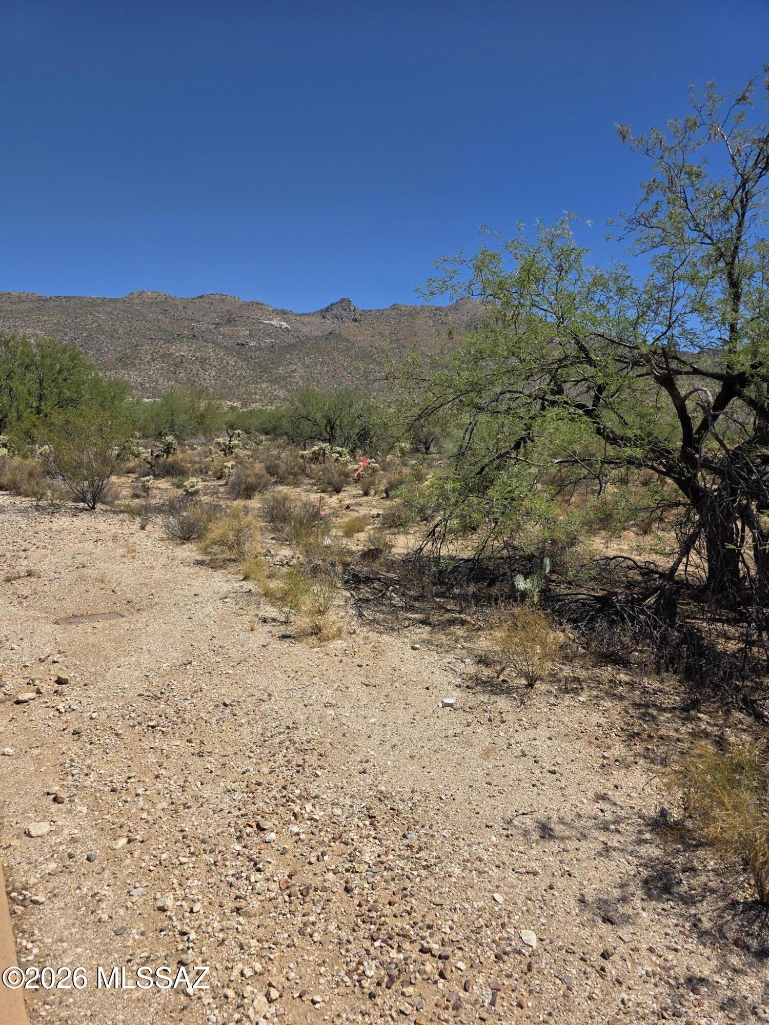 Owning 3.48 acres in the Tanque Verde offers the ultimate canvas for a luxury desert estate, securing unmatched privacy, lush native vegetation, and breathtaking views of both the Catalina and Rincon Mountains. This home site in Fetzer Ranch, a gated enclave of just 60 parcels with homes typically priced at $1M and up is a short drive from daily conveniences. TAXES SHOWN ARE ONLY AN ESTMATE. Lot 41 was previously attached to Lot 44, and they were split in July 2025. Actual tax allocation will be updated in September 2026 per the Pima County Assessor's Office. Boundary Survey available.