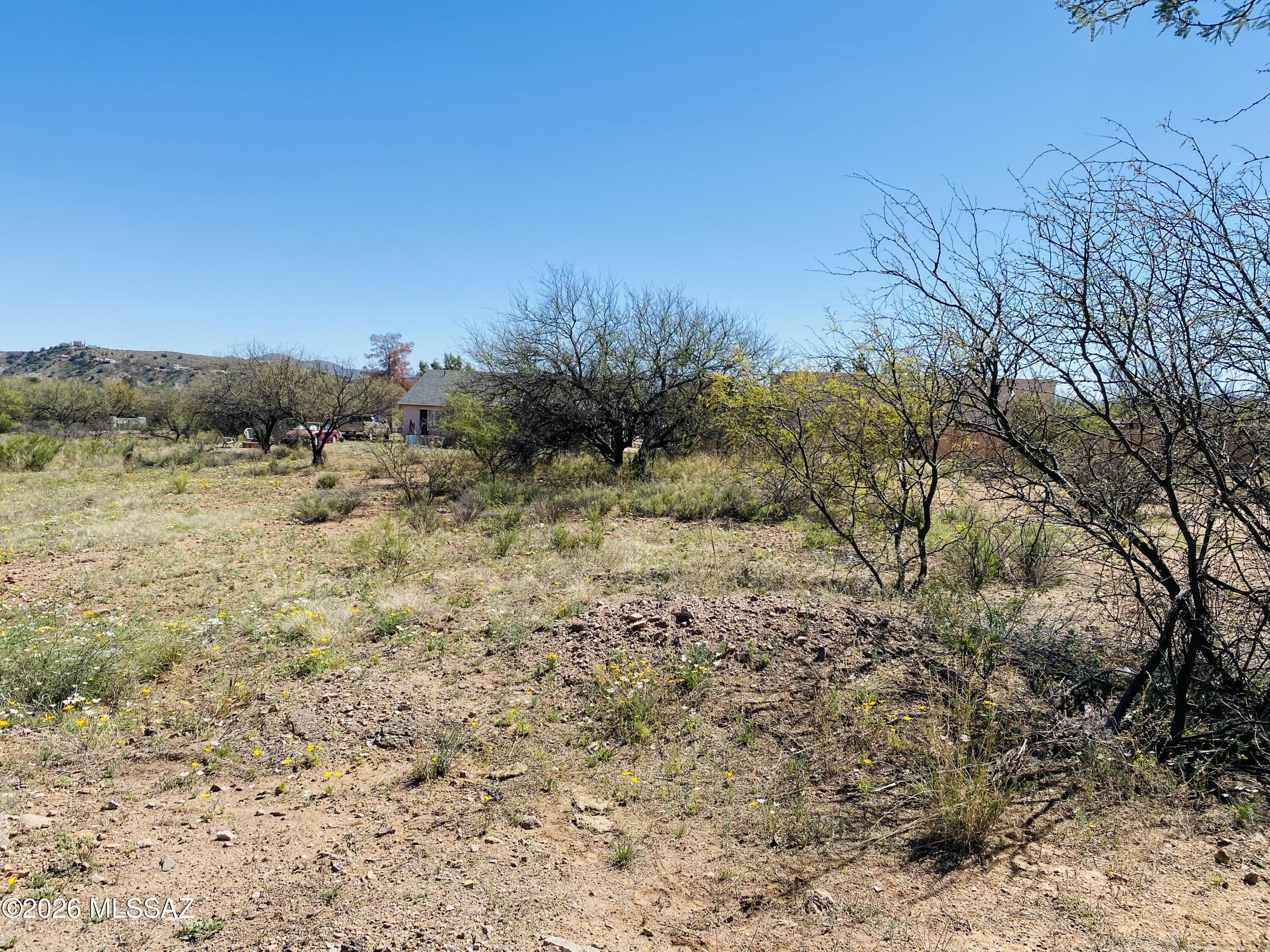 Rio Rico Unit 3 - Land