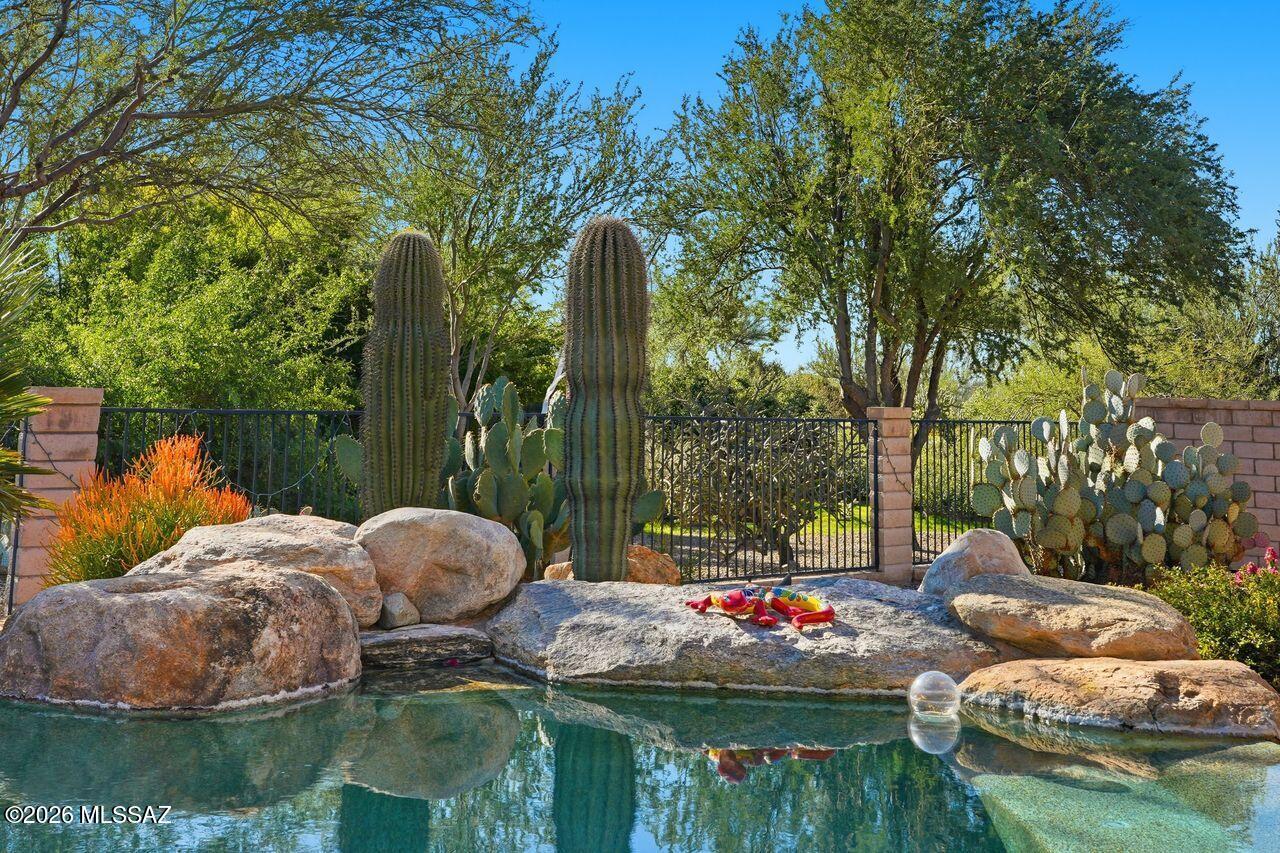Dos Lagos at Dove Mountain (1-91) - Residential
