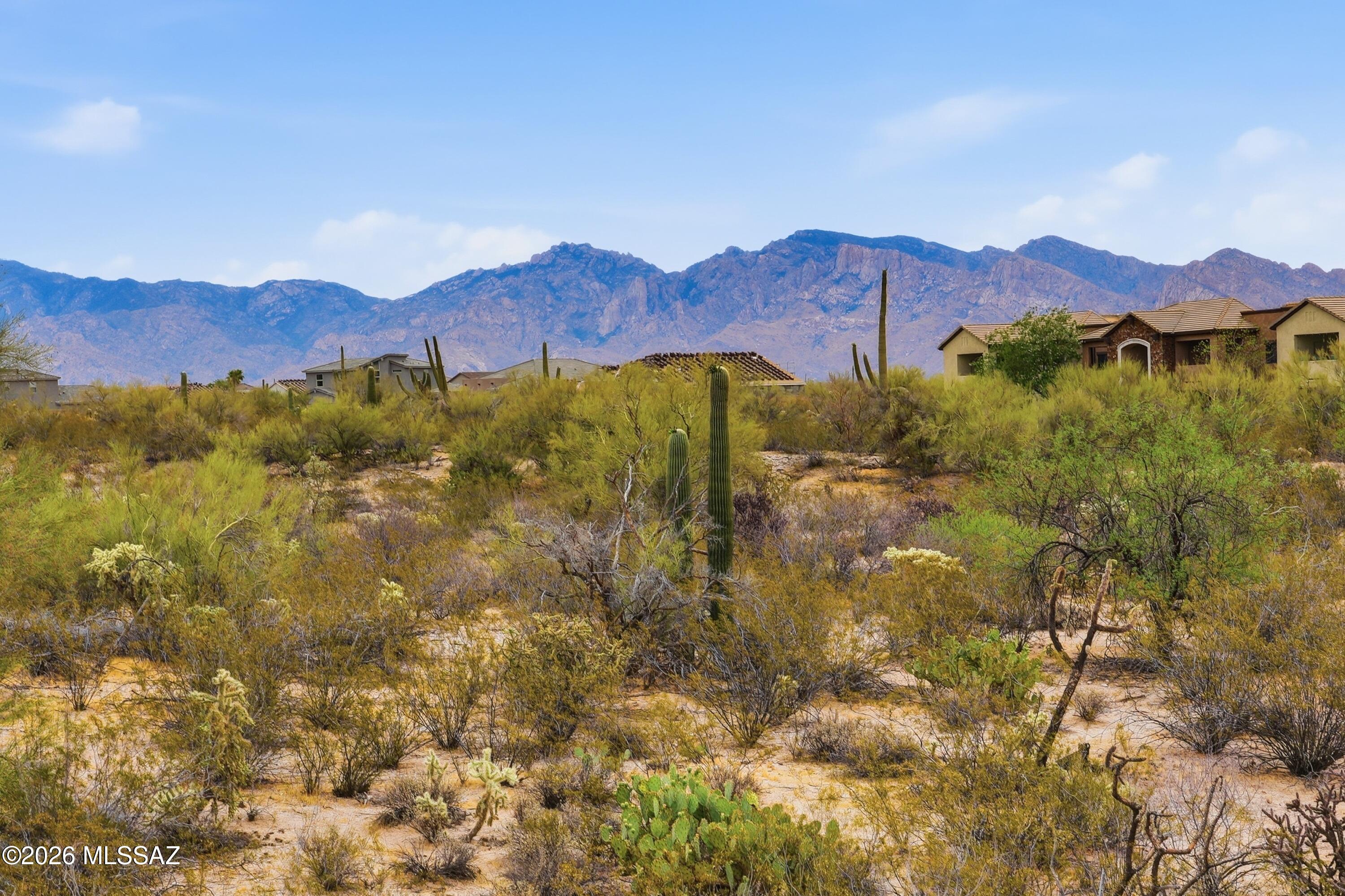 Preserve IV at Dove Mountain (487-529, 535-576, 606-650) - Residential