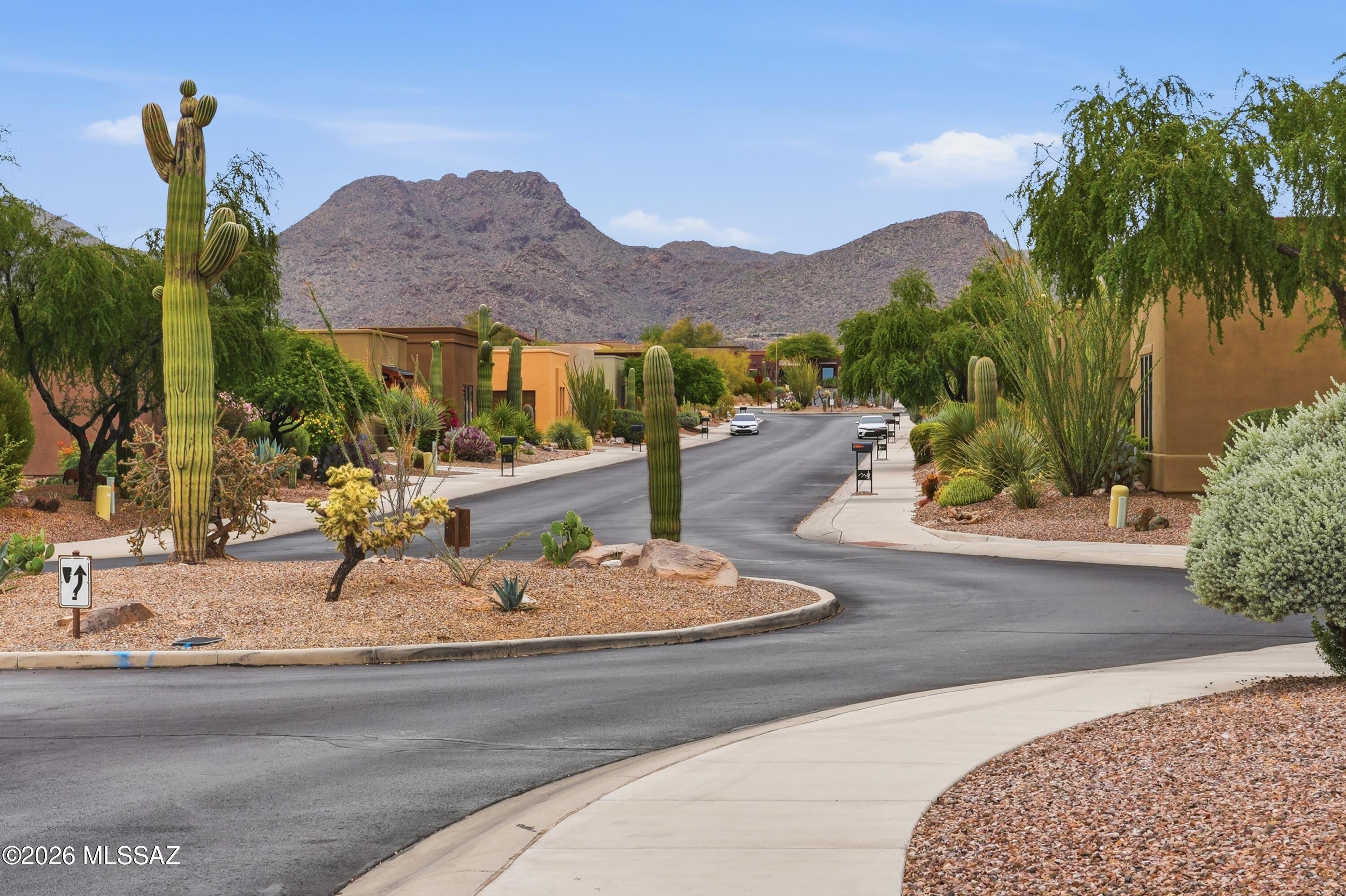 Preserve IV at Dove Mountain (487-529, 535-576, 606-650) - Residential