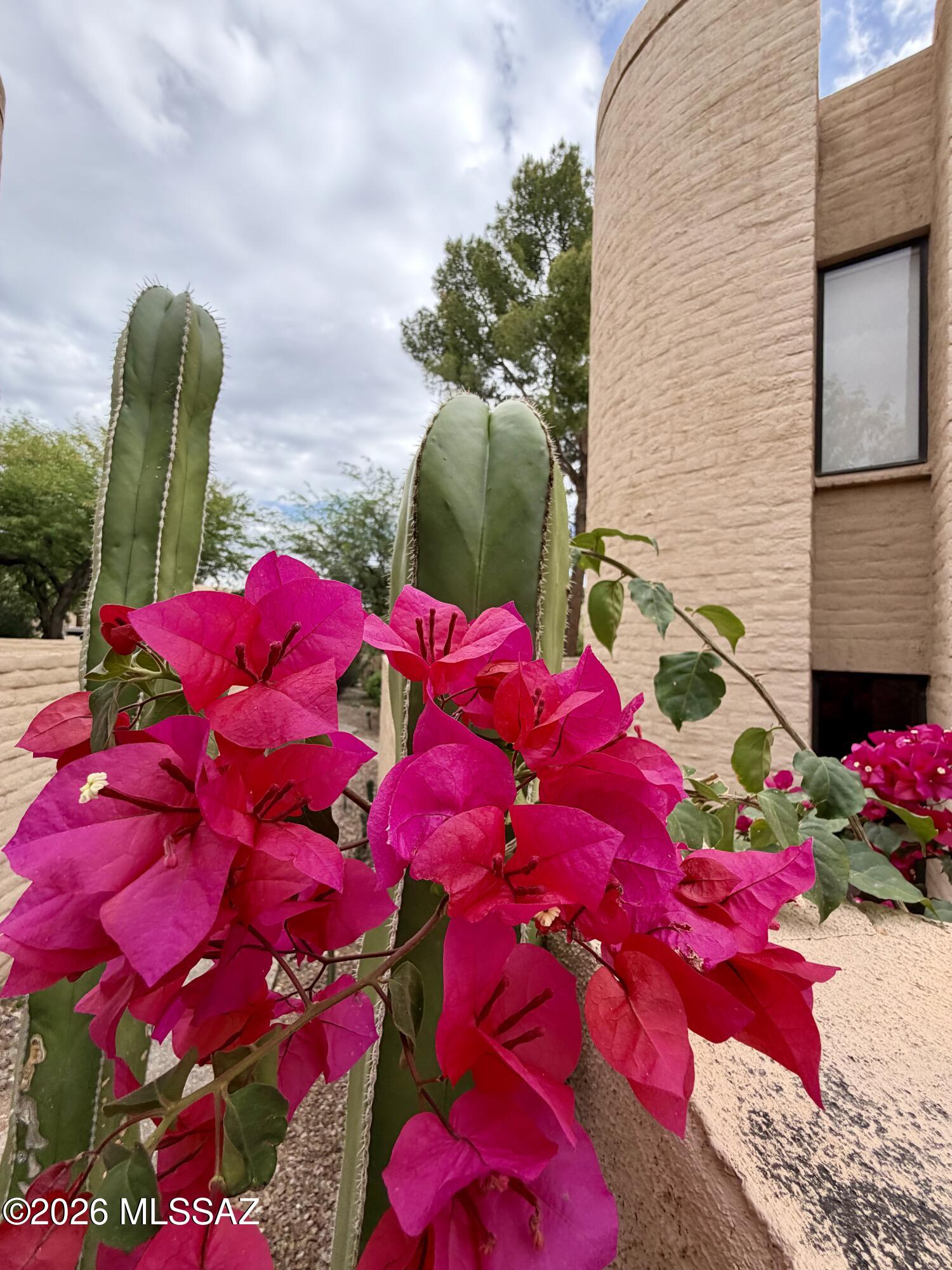 Tucson Racquet Club Th Resub - Residential