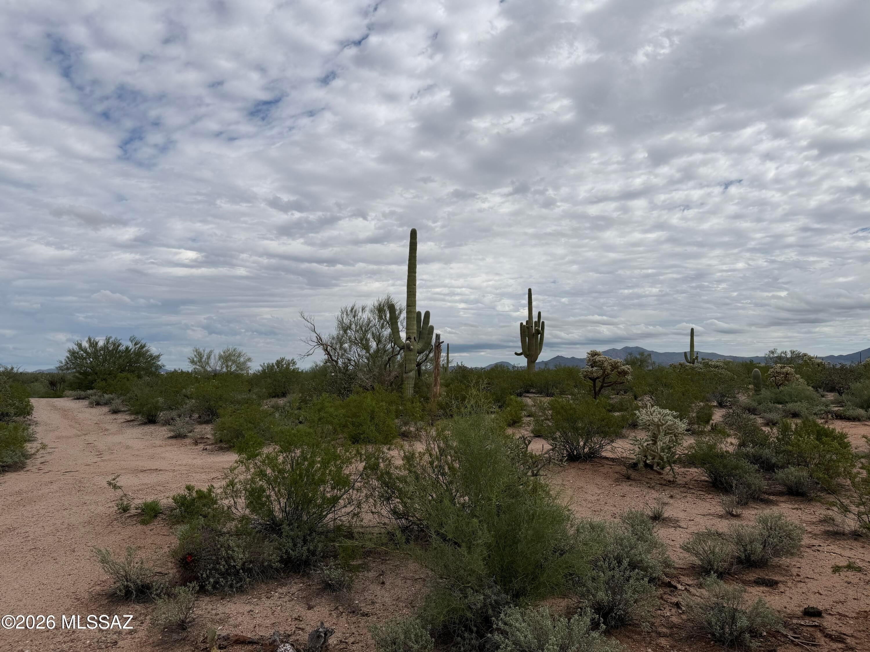 Unusual and exceptional 102.5-acre investment/development opportunity near SaddleBrooke! Beautiful rolling terrain with no steep slopes offers numerous potential homesites surrounded by an abundance of mature Saguaros and spectacular Catalina mountain vistas including additional mountain ranges in nearly every direction. Rural Urban (RU) zoning allows for subdivision, creating exciting potential for a custom-home community, large-lot development or private estate. Three wells are located on the property, along with two separate entries providing valuable access options. A rare combination of size, usable terrain, water infrastructure, access and stunning Sonoran Desert character in the desirable SaddleBrooke area. Buyer to verify development potential.