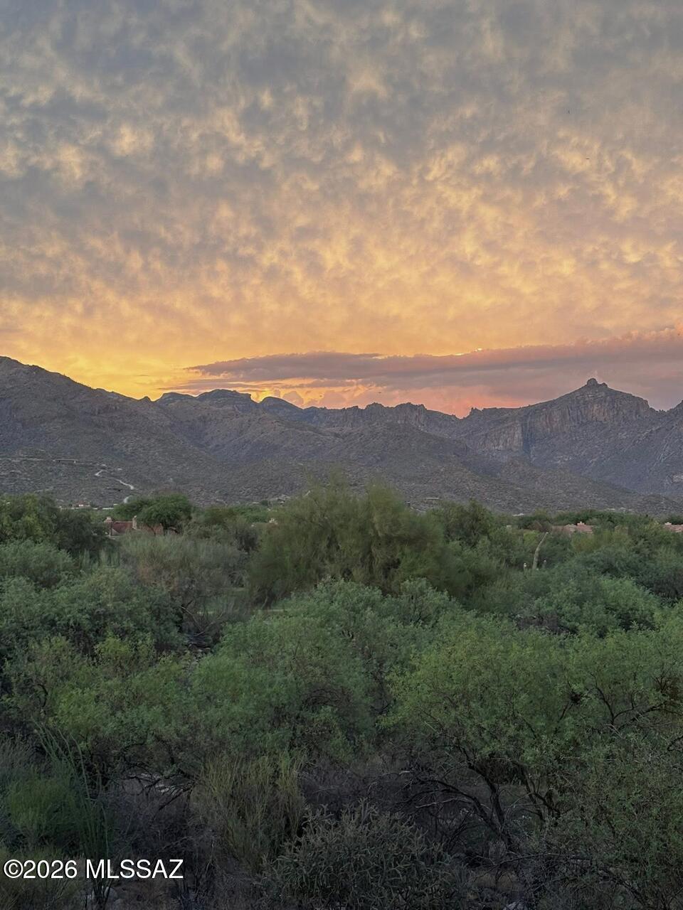 Greens at Ventana Canyon - Residential