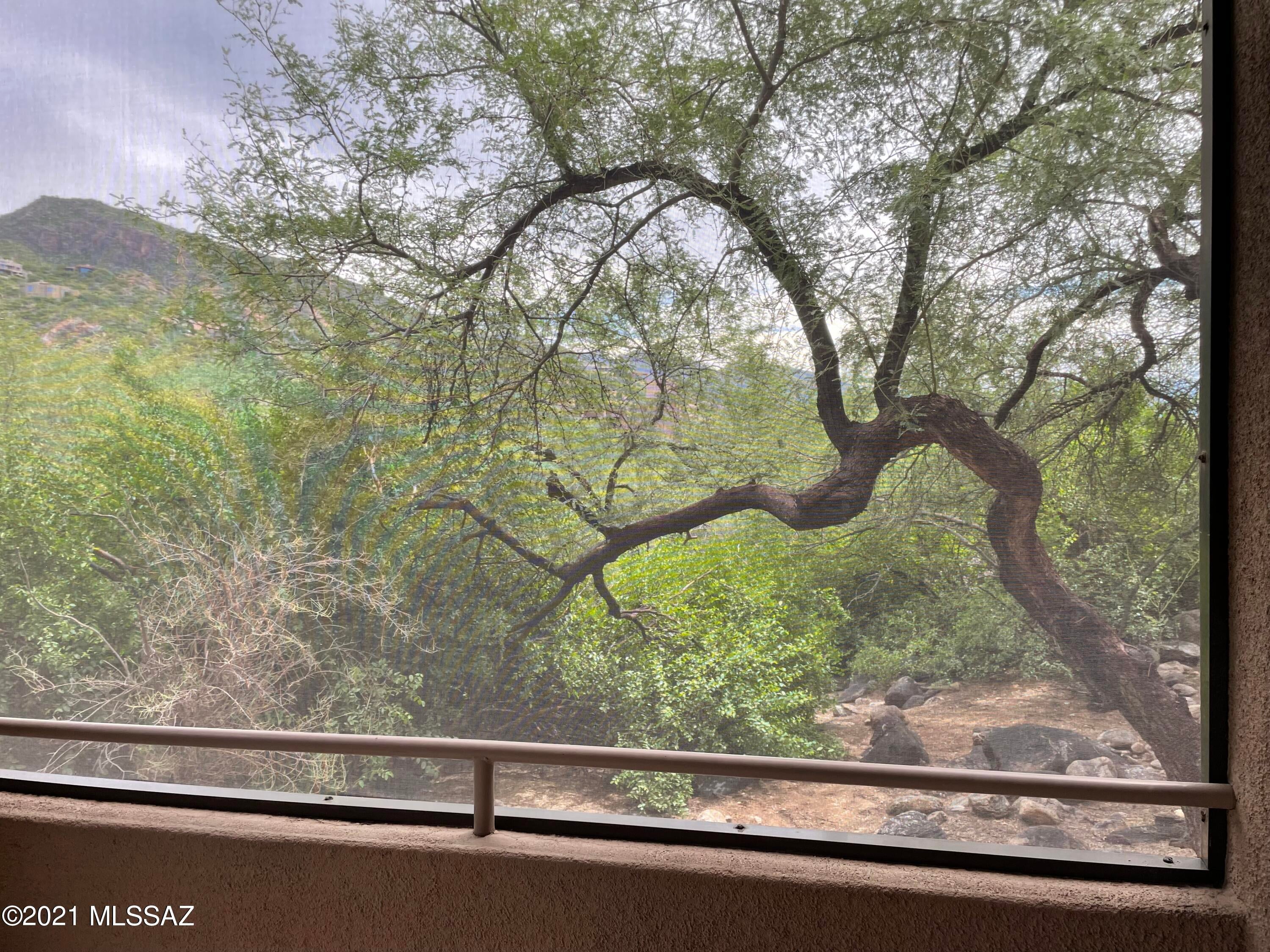 Canyon View At Ventana Condominium (1-264) - Residential Lease