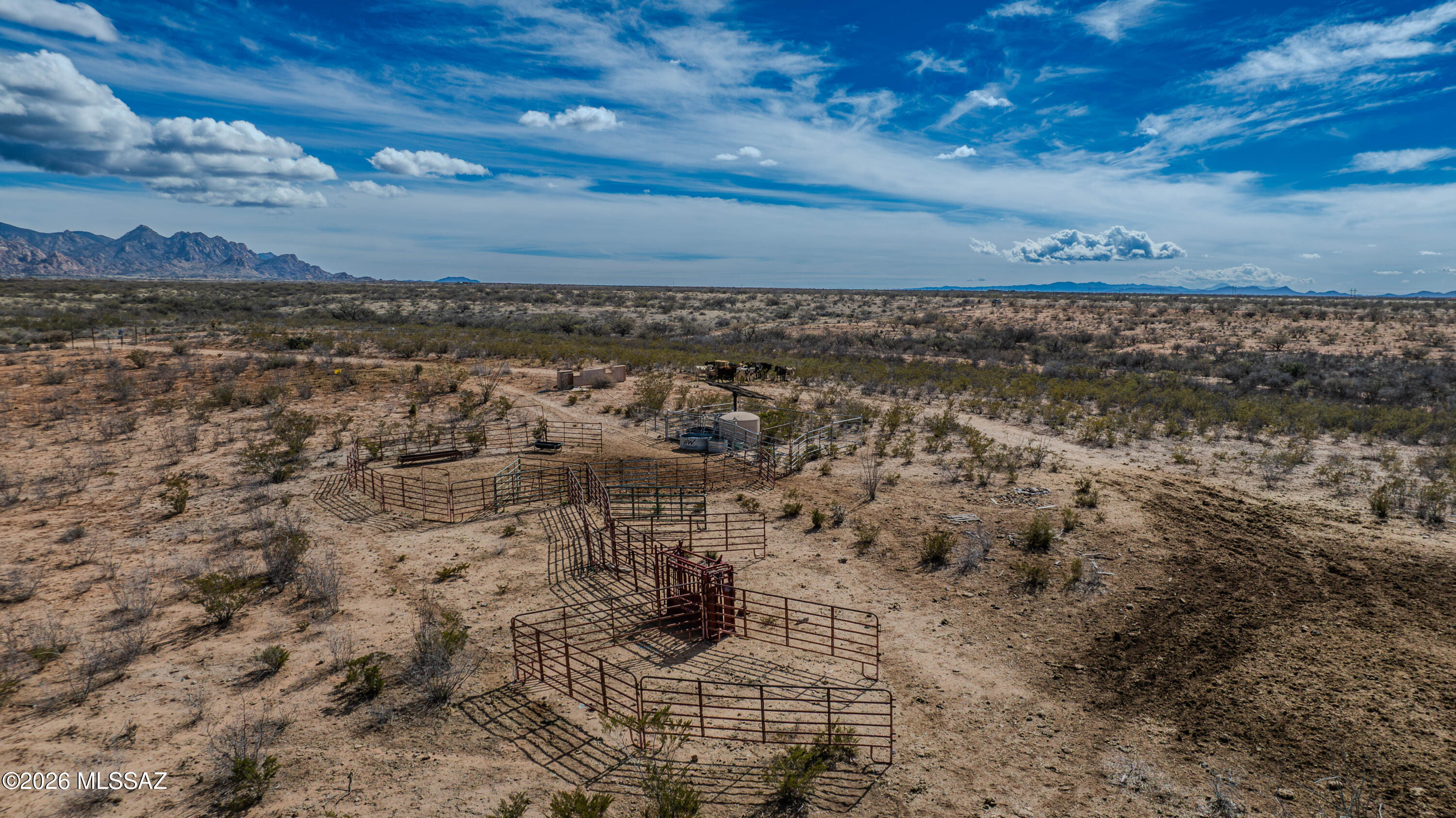 Dragoon Mountain Ranch - Land