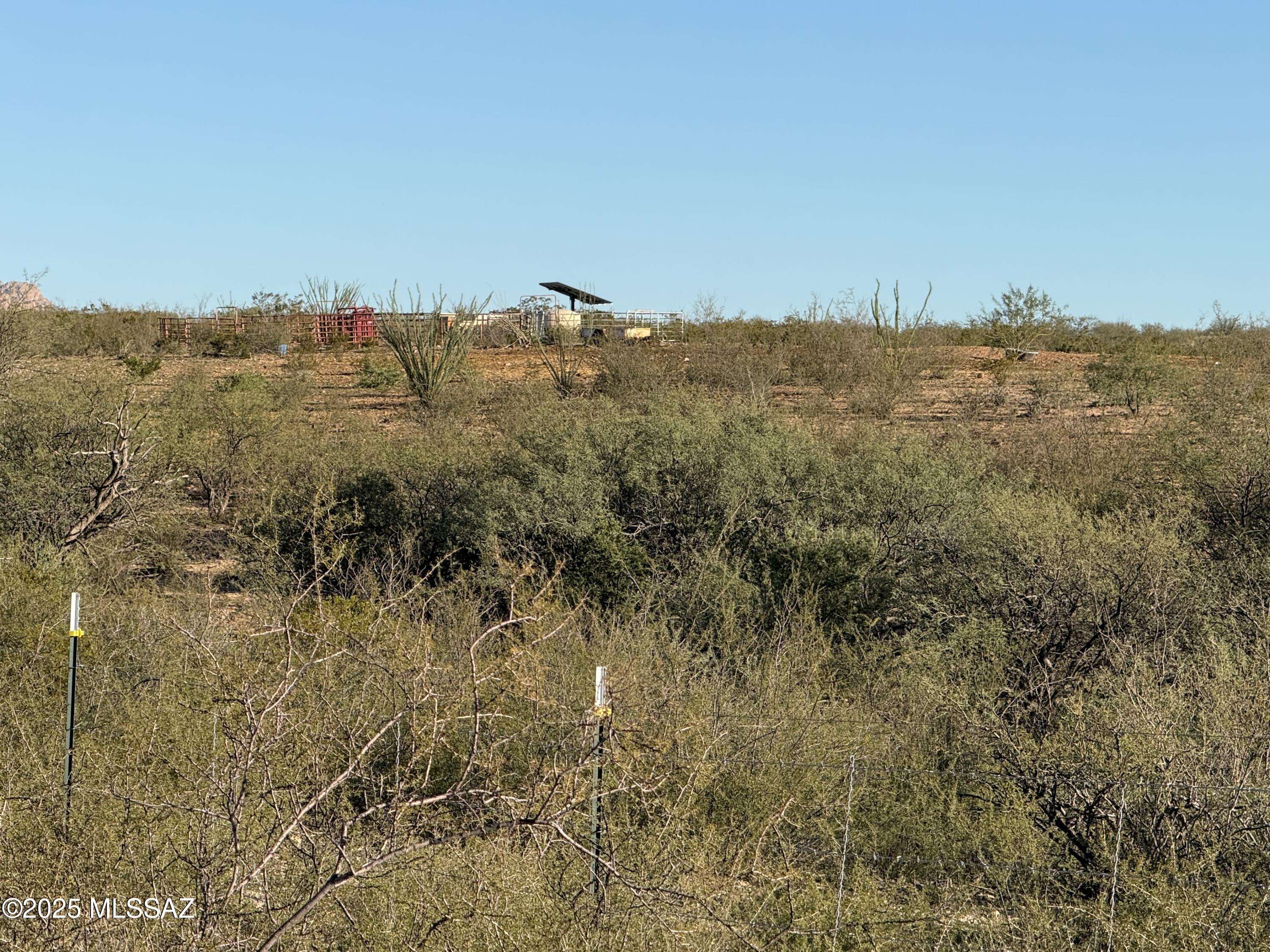 Dragoon Mountain Ranch - Land