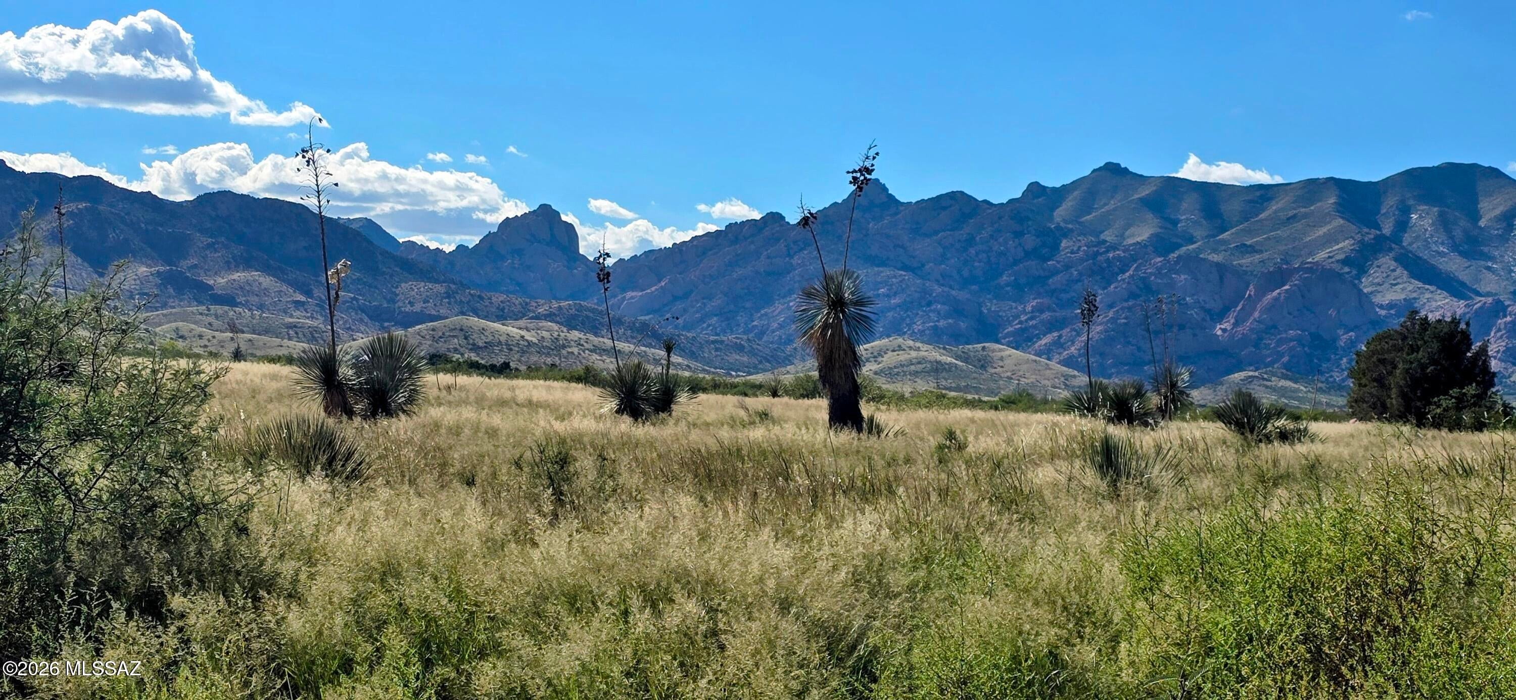 Three contiguous 1-acre lots in the Arizona Sunsites subdivision with beautiful views of the Dragoon Mountains and Cochise Stronghold. Located just off a paved road with easy access, these adjoining parcels sit in a quiet area with wide-open skies and starry nights. Enjoy the space, scenery, and peaceful setting of rural Cochise County. Electric and phone on lot line along Desert Road