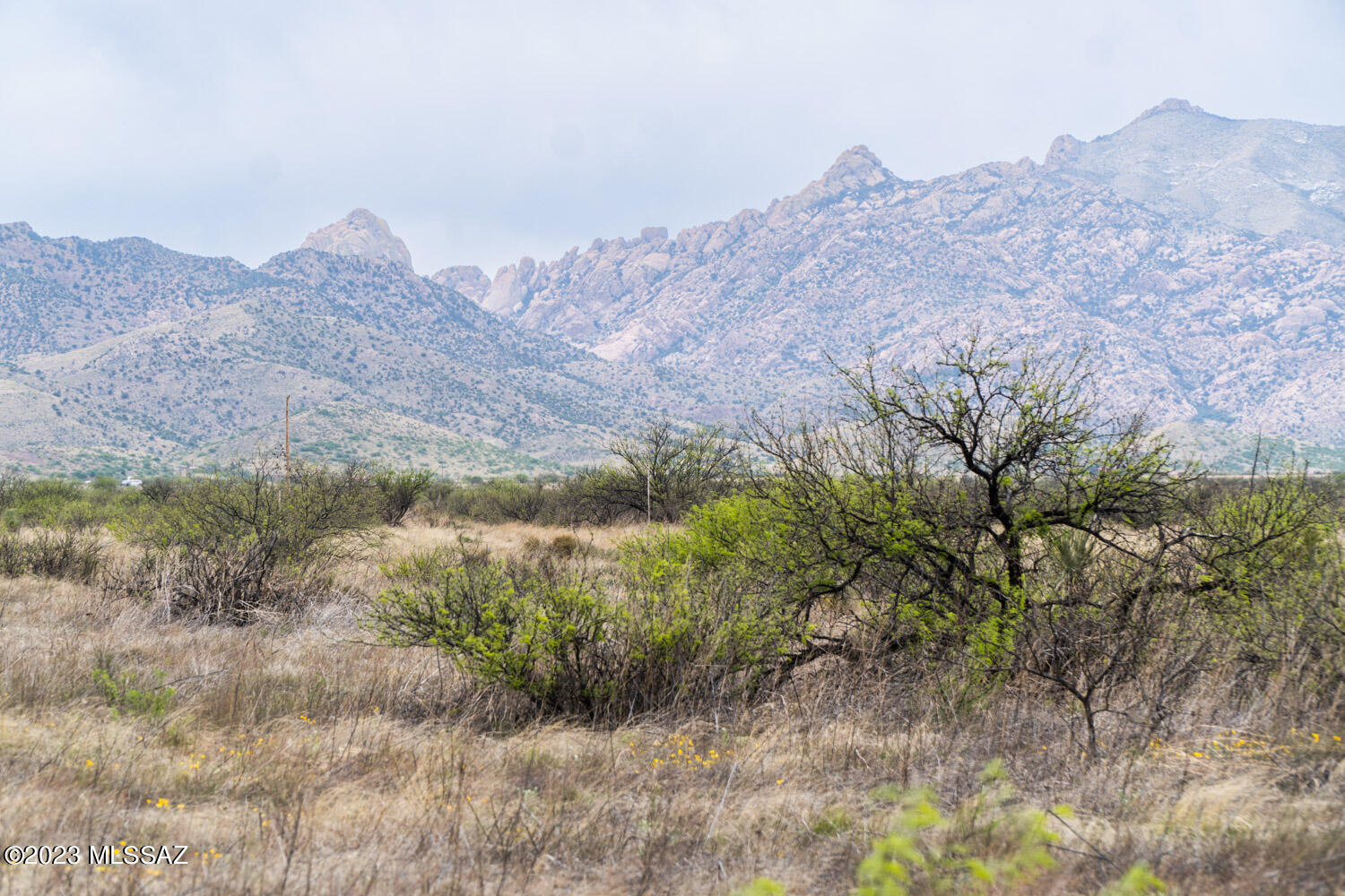Arizona Sun Sites - Land