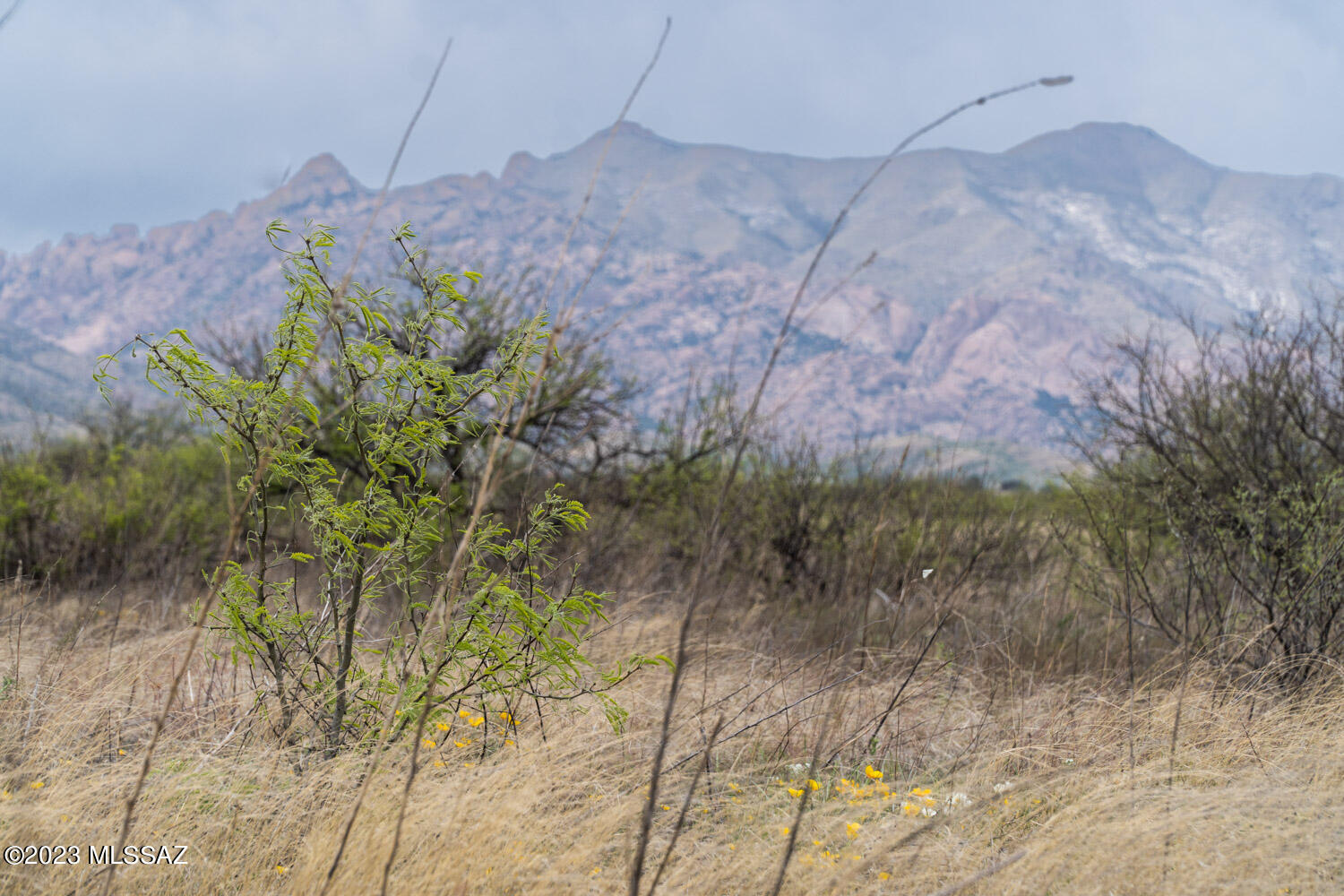 Arizona Sun Sites - Land