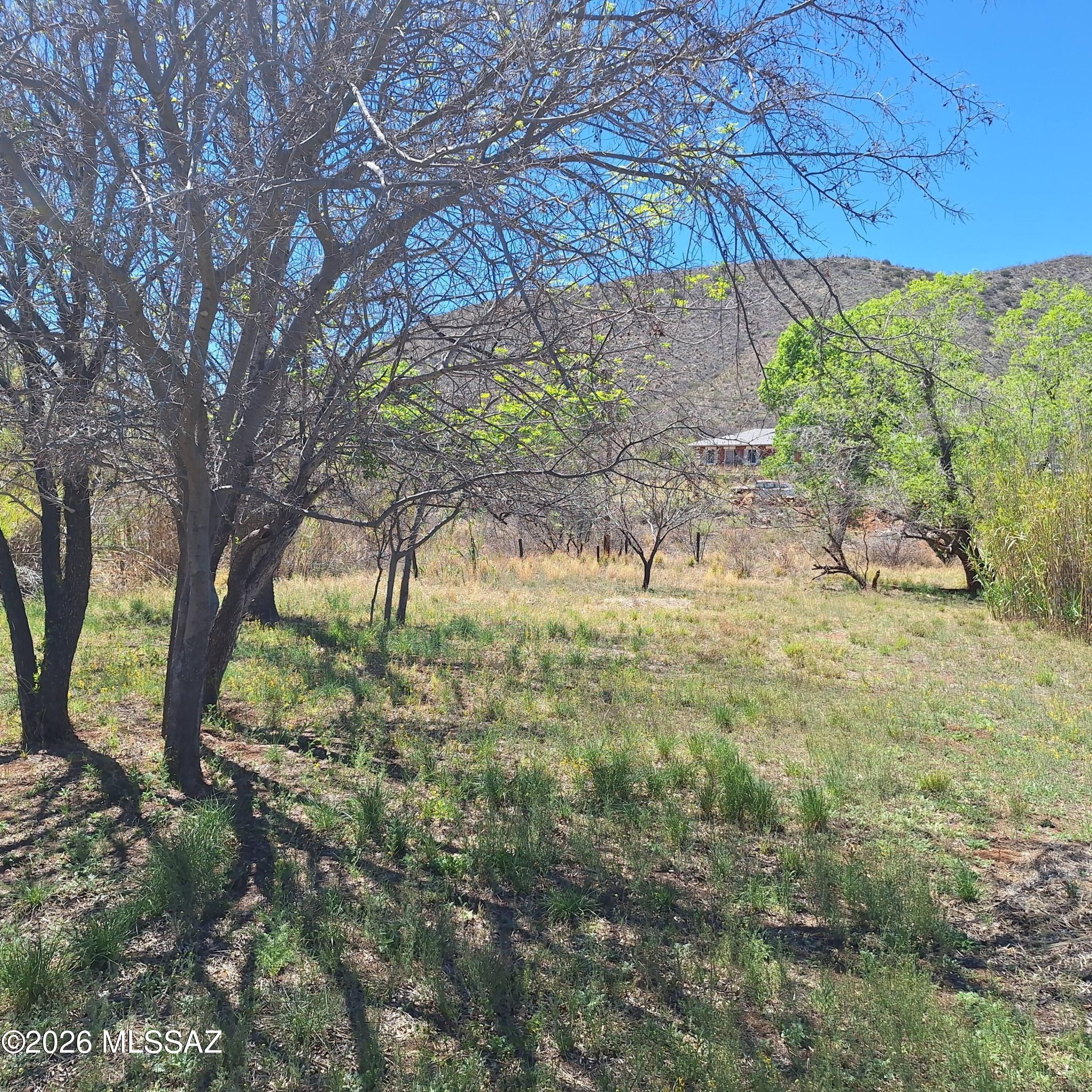 Out Of Pima County - Land