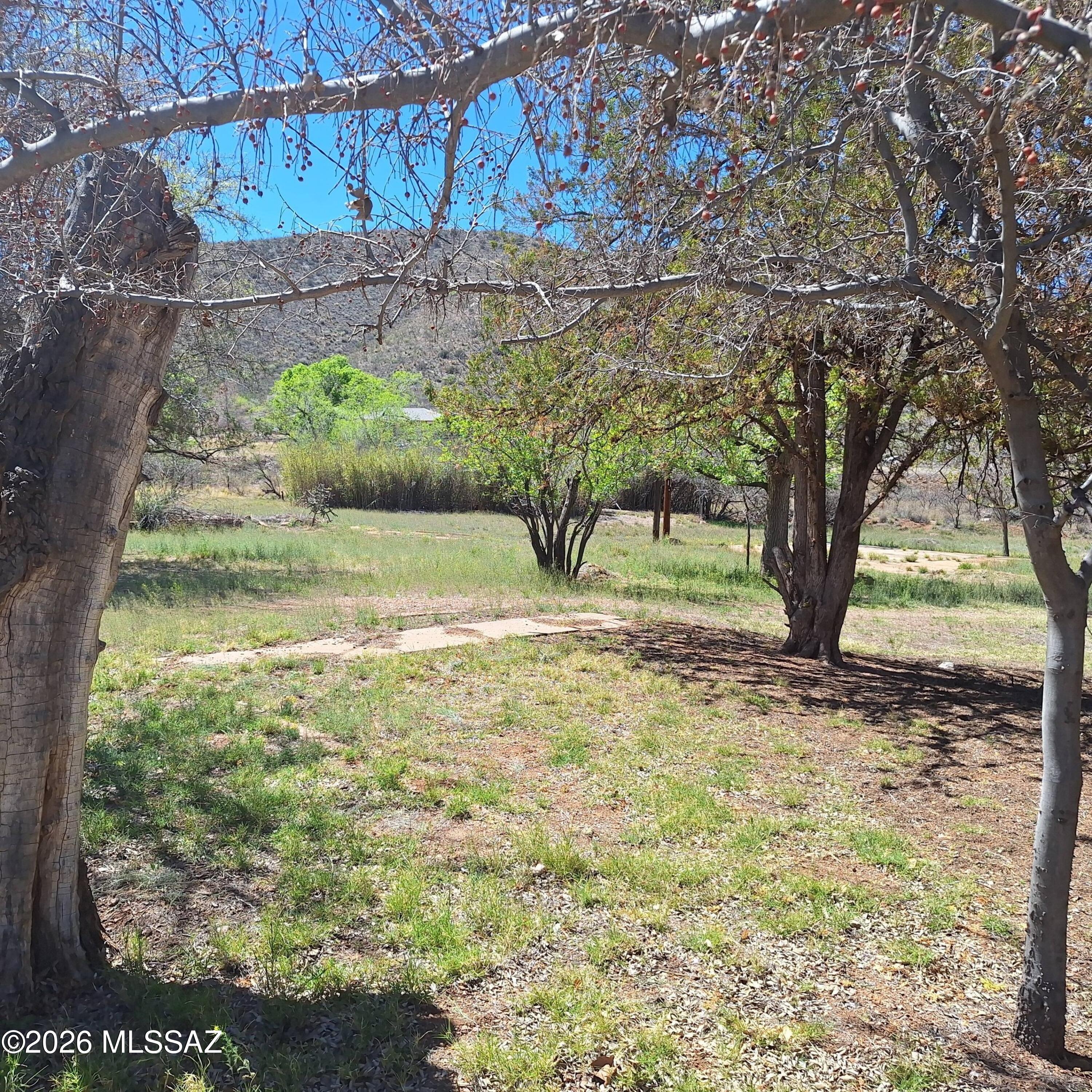 Out Of Pima County - Land