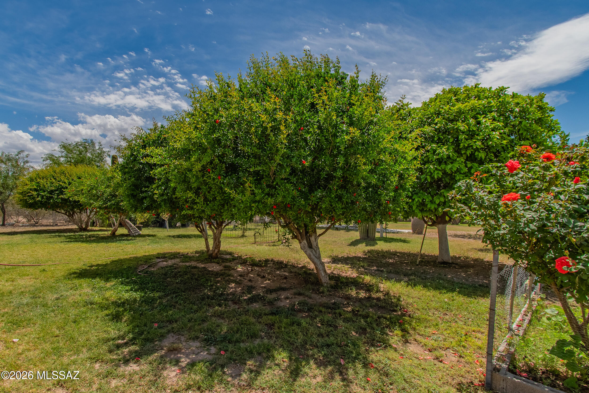 Swan Road Ranches - Residential