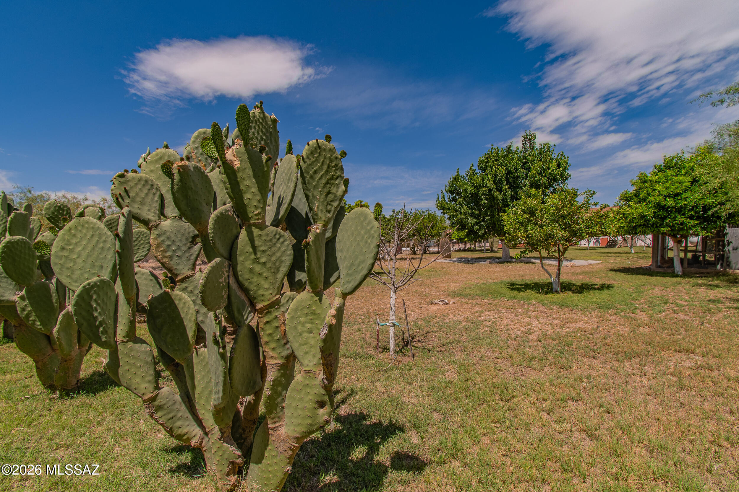 Swan Road Ranches - Residential