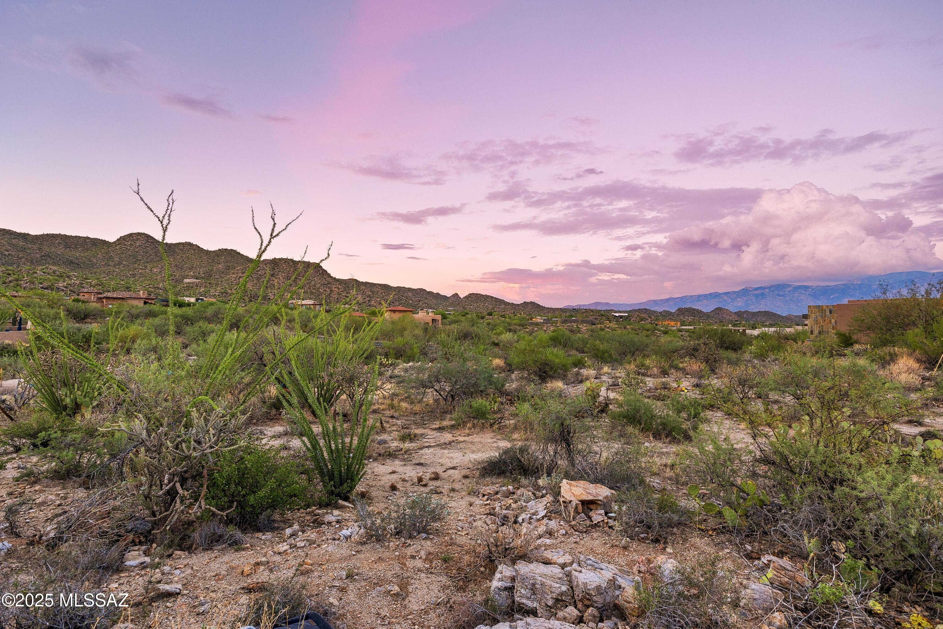 Stone Canyon II - Land