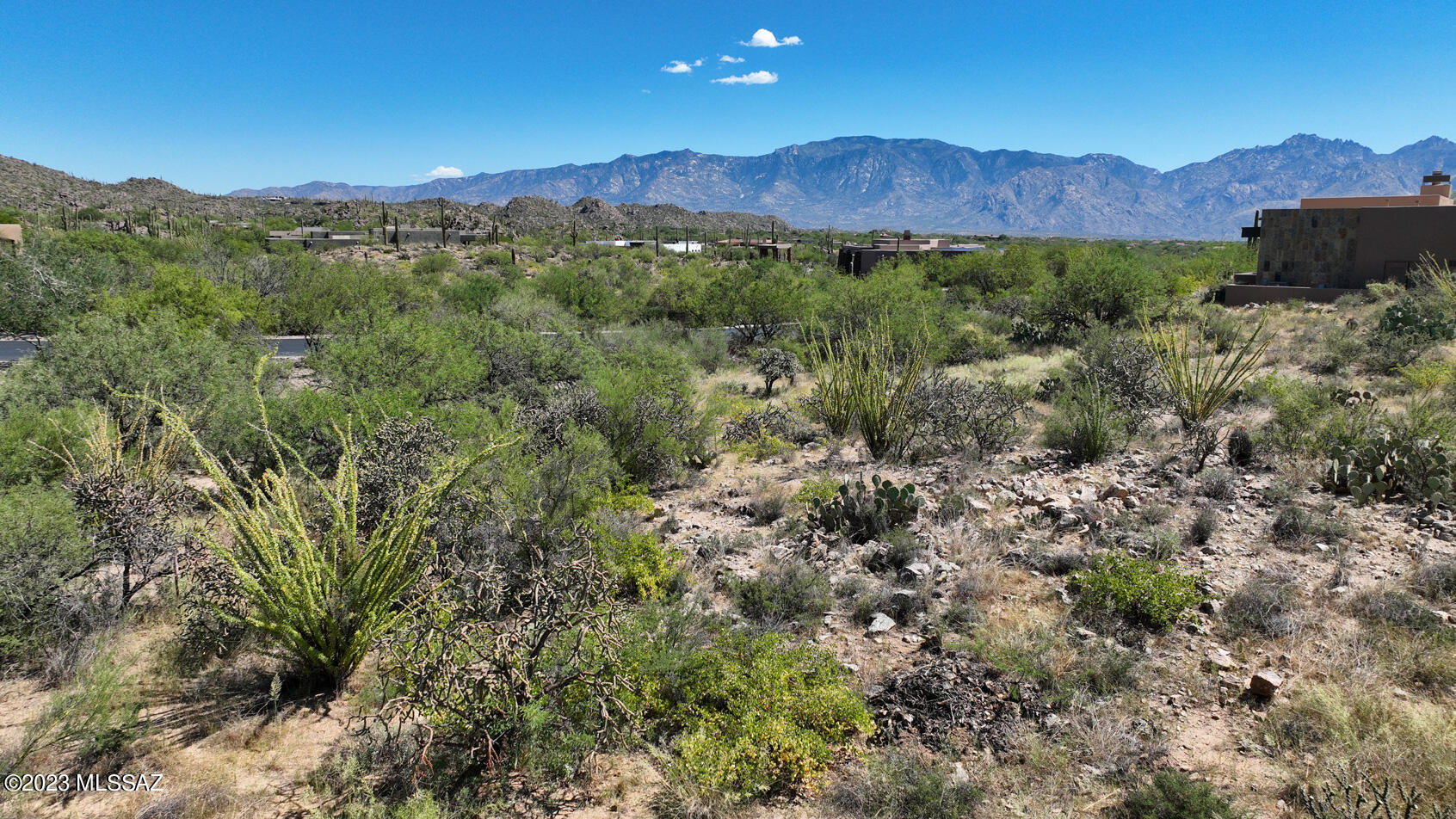 Stone Canyon II - Land