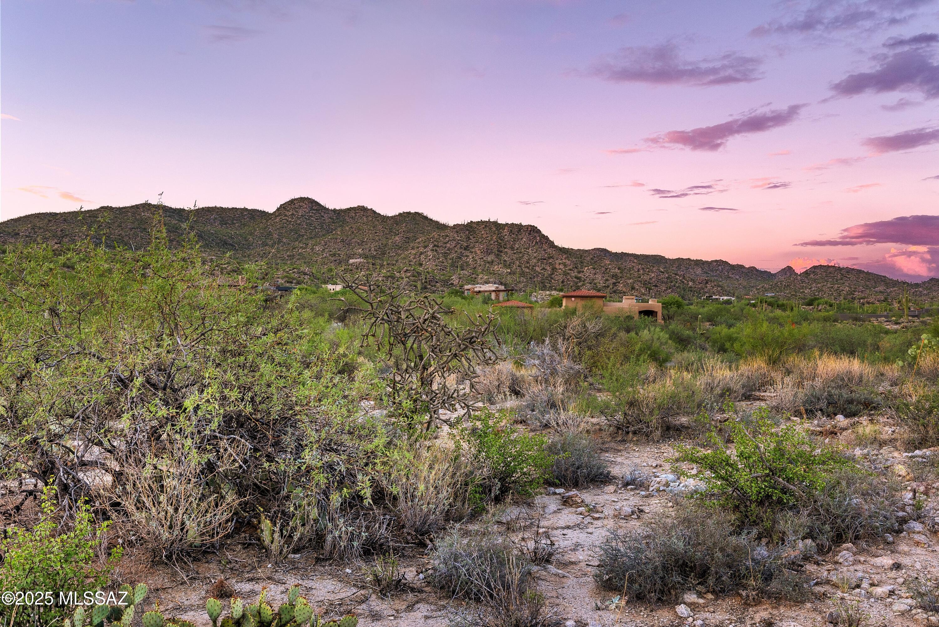 Stone Canyon II - Land