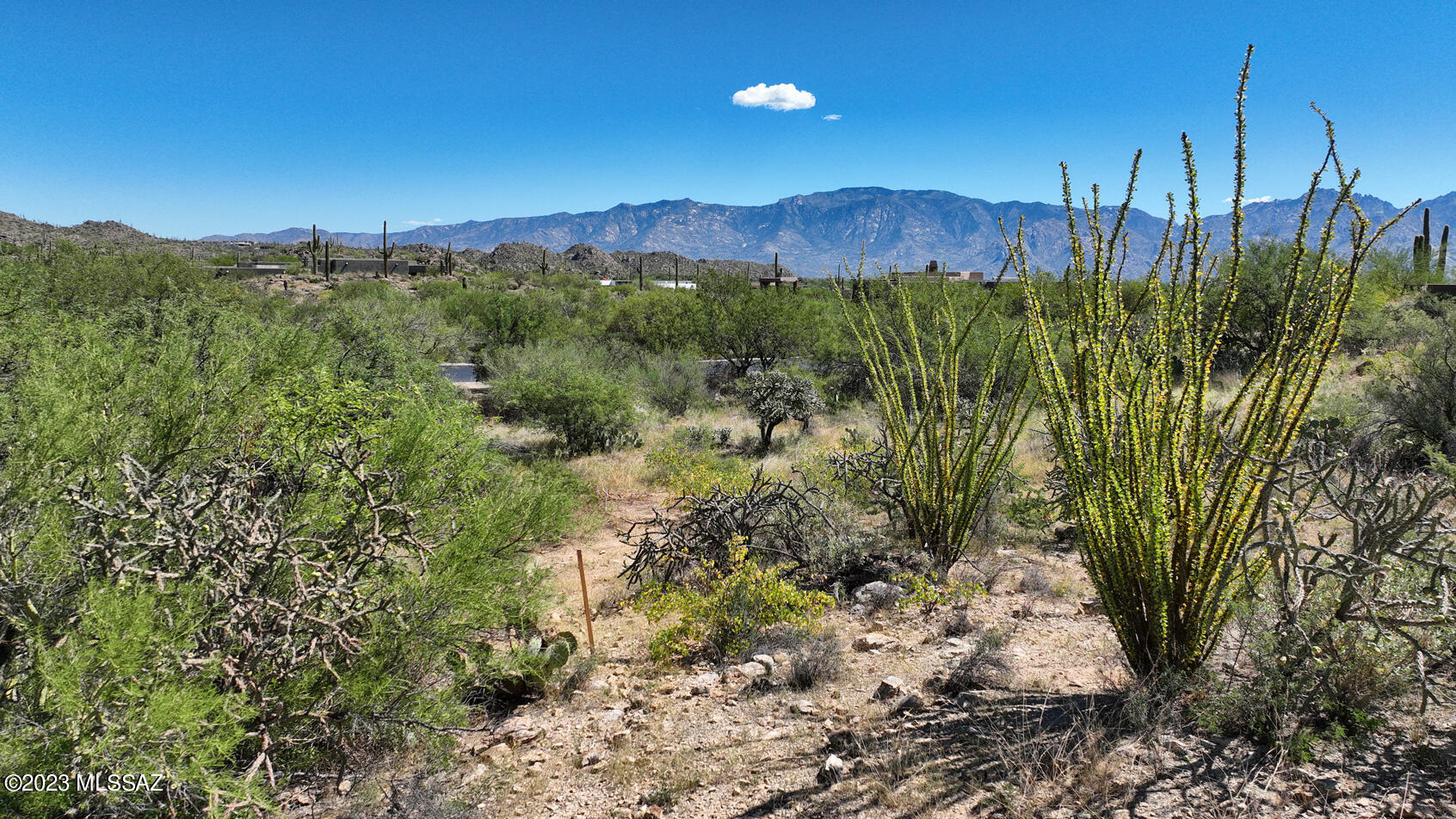 Stone Canyon II - Land