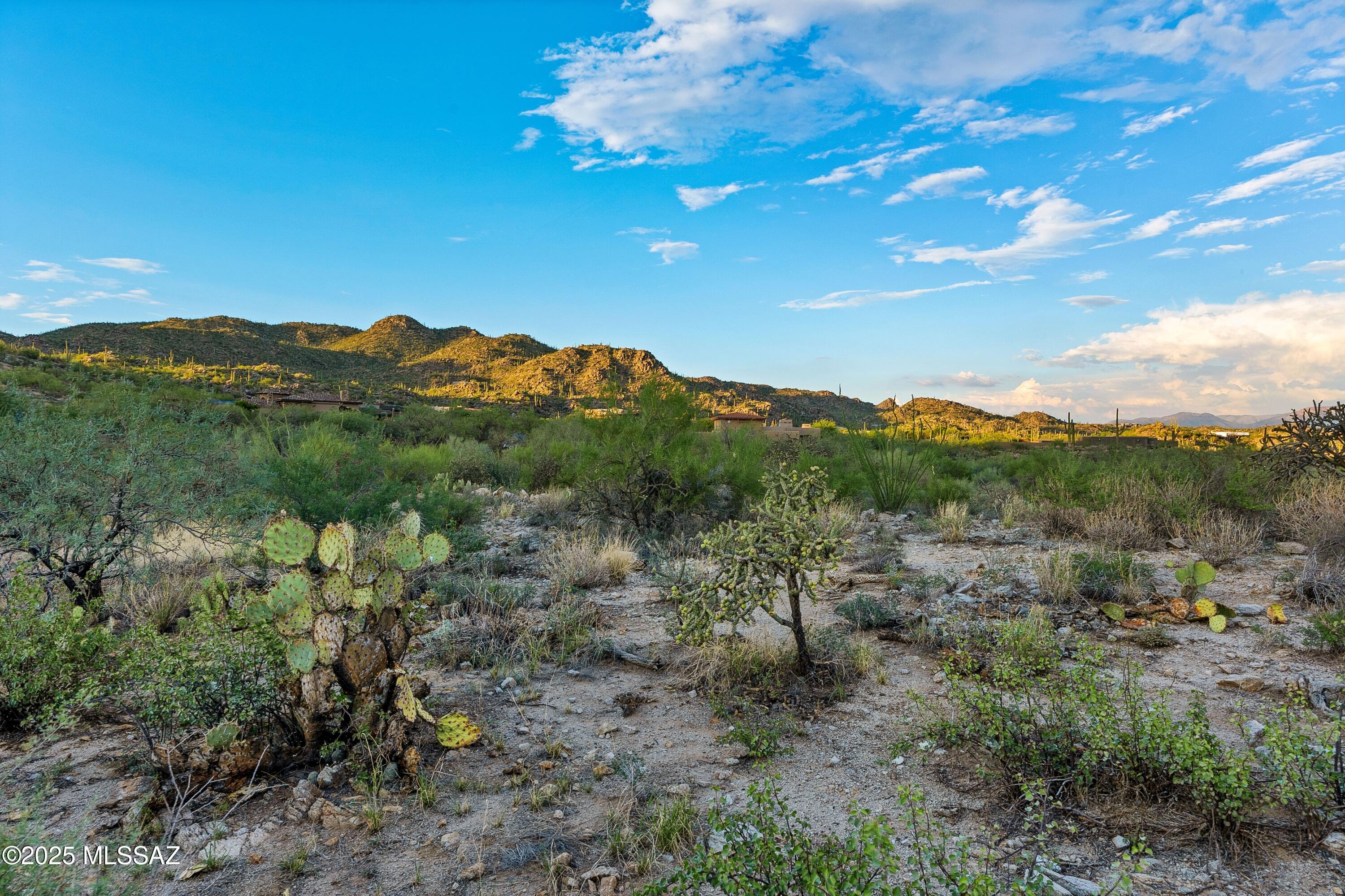 Stone Canyon II - Land