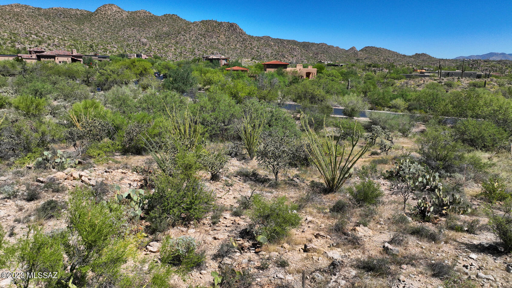 Stone Canyon II - Land