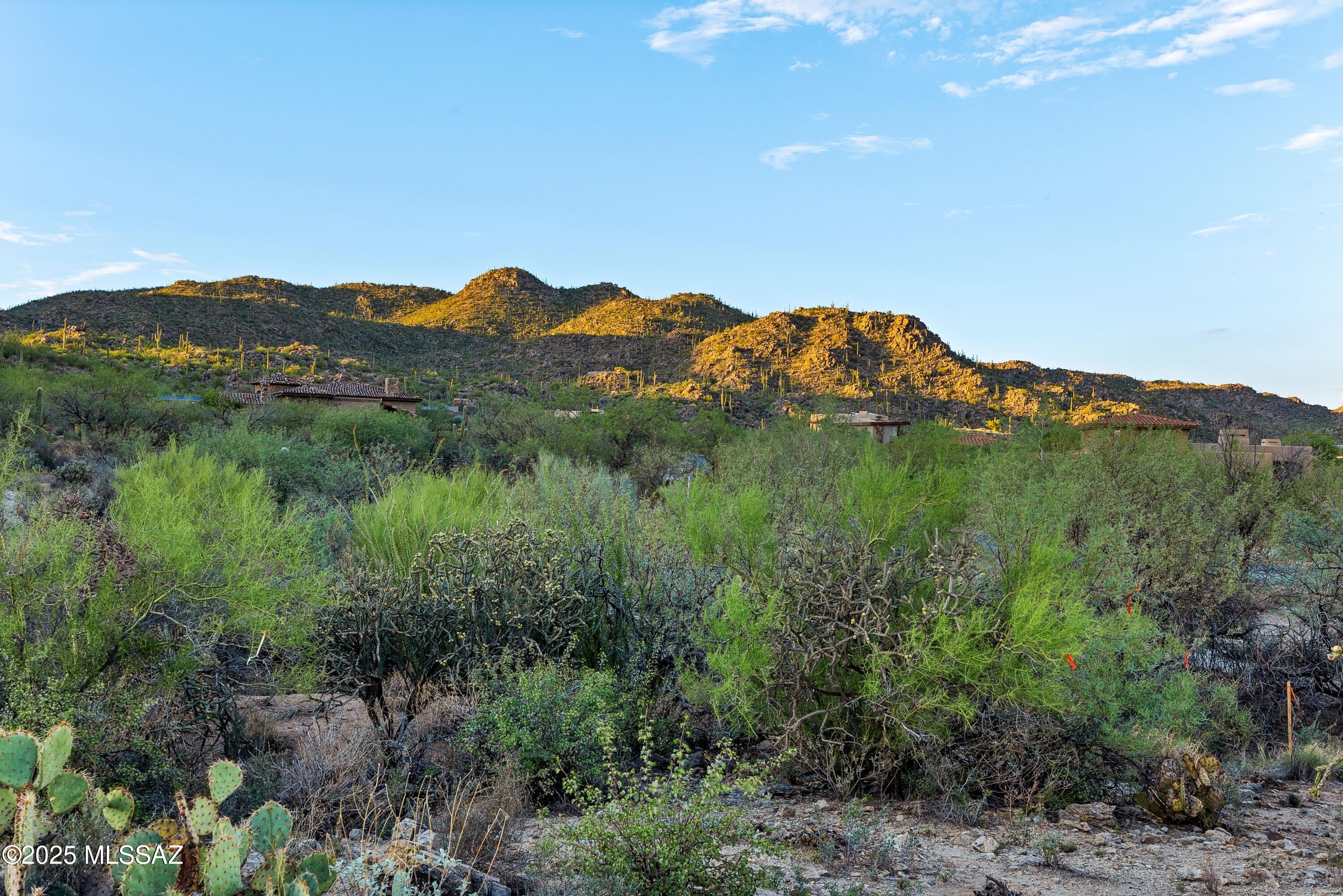 Discover the Beauty of Stone Canyon Living |

Build your dream home on this acre-plus custom homesite nestled within the prestigious, gated community of Stone Canyon. Positioned to capture both breathtaking sunrises and glowing desert sunsets over the Catalina Mountains, this property offers a rare backdrop for your future back patio.

Included in the price are thoughtfully designed, permit-ready custom home plans--saving you thousands in design costs and months in the architectural review and Town of Oro Valley approval process. Whether you envision a tranquil desert retreat or a vibrant, active lifestyle, this lot provides the perfect canvas.

Stone Canyon is one of Southern Arizona's most sought-after private golf course communities, renowned for its world-class Jay Morrish-design