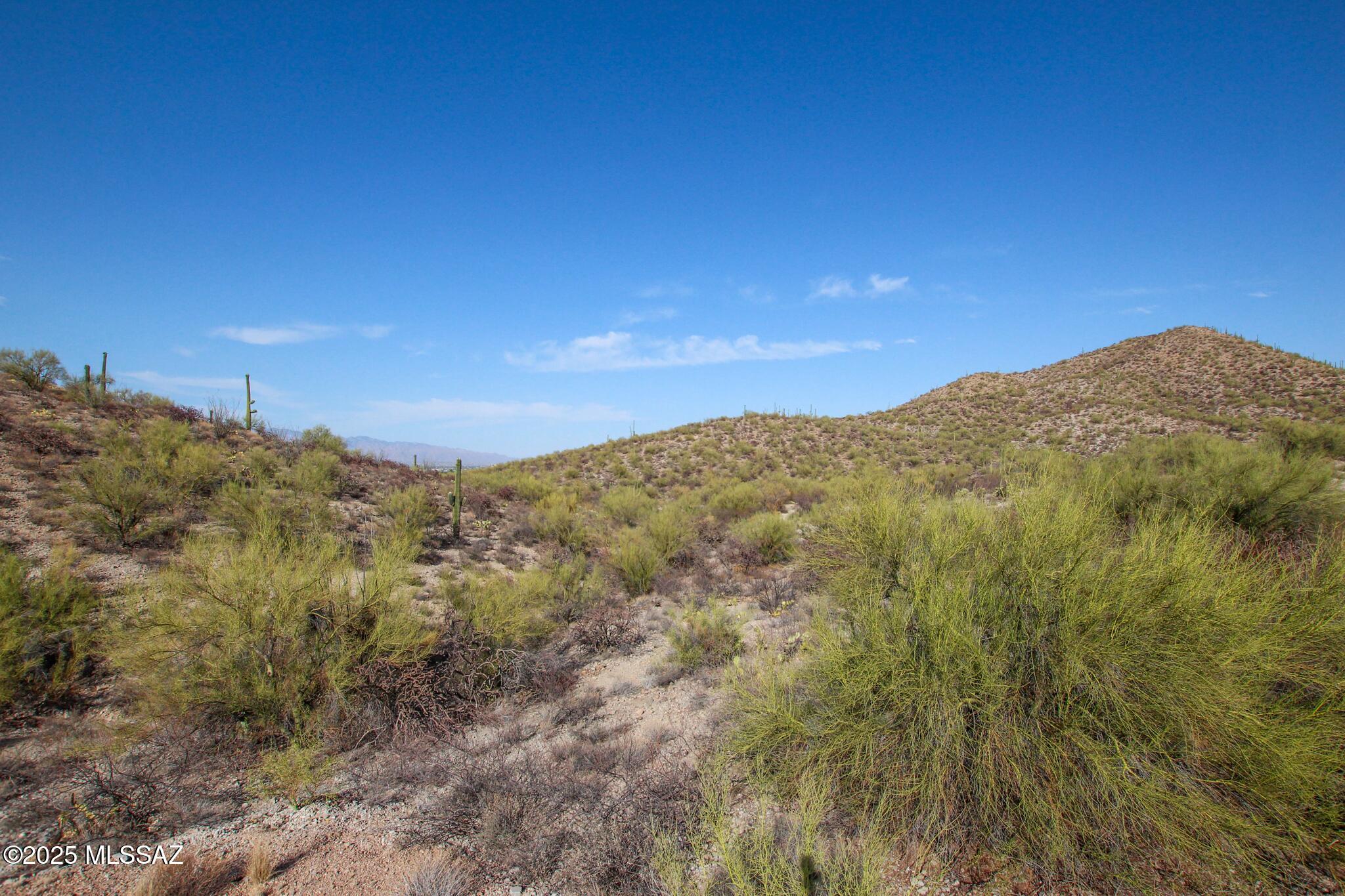 Coyote Pass Amended - Land