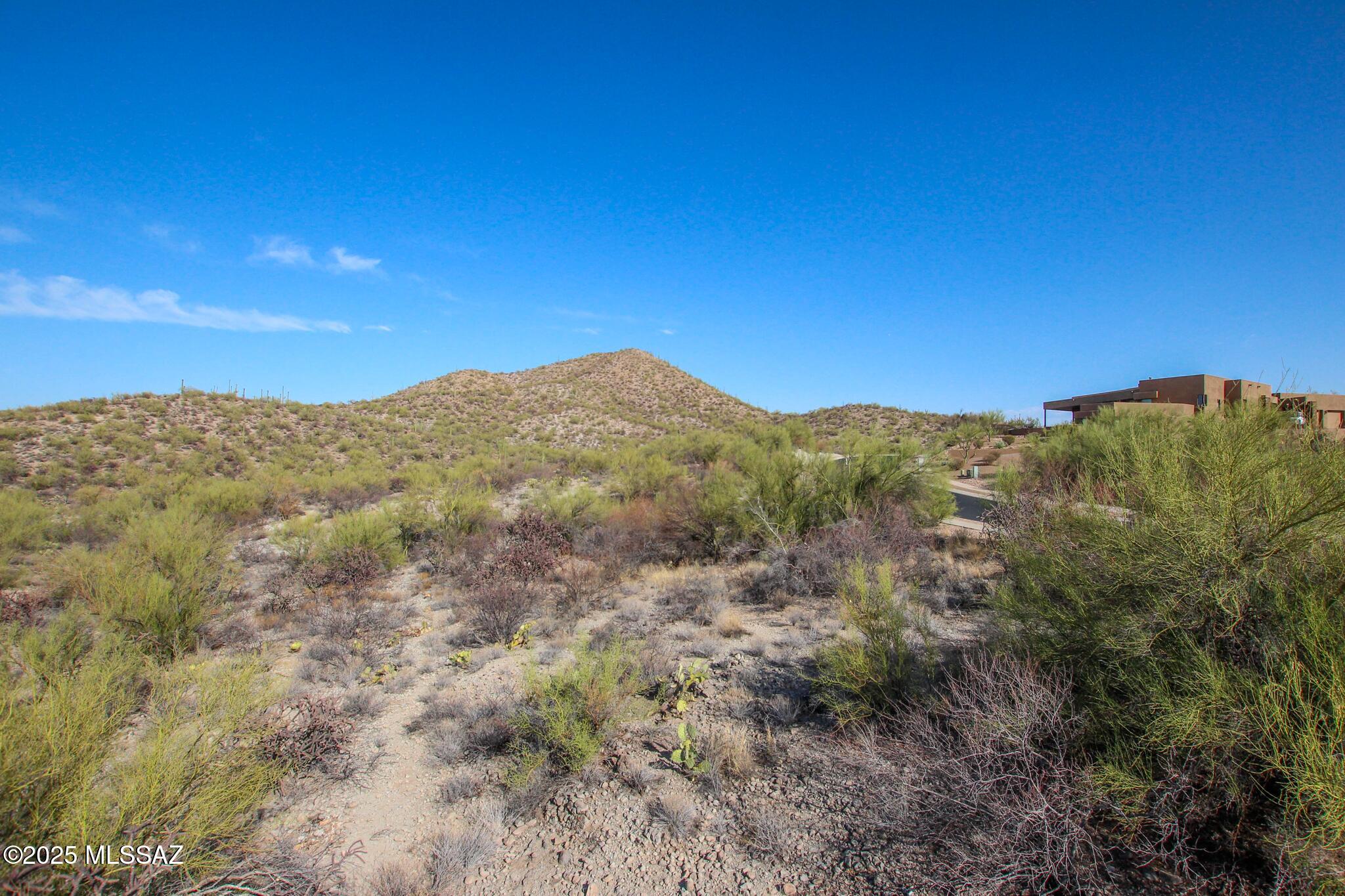 Coyote Pass Amended - Land