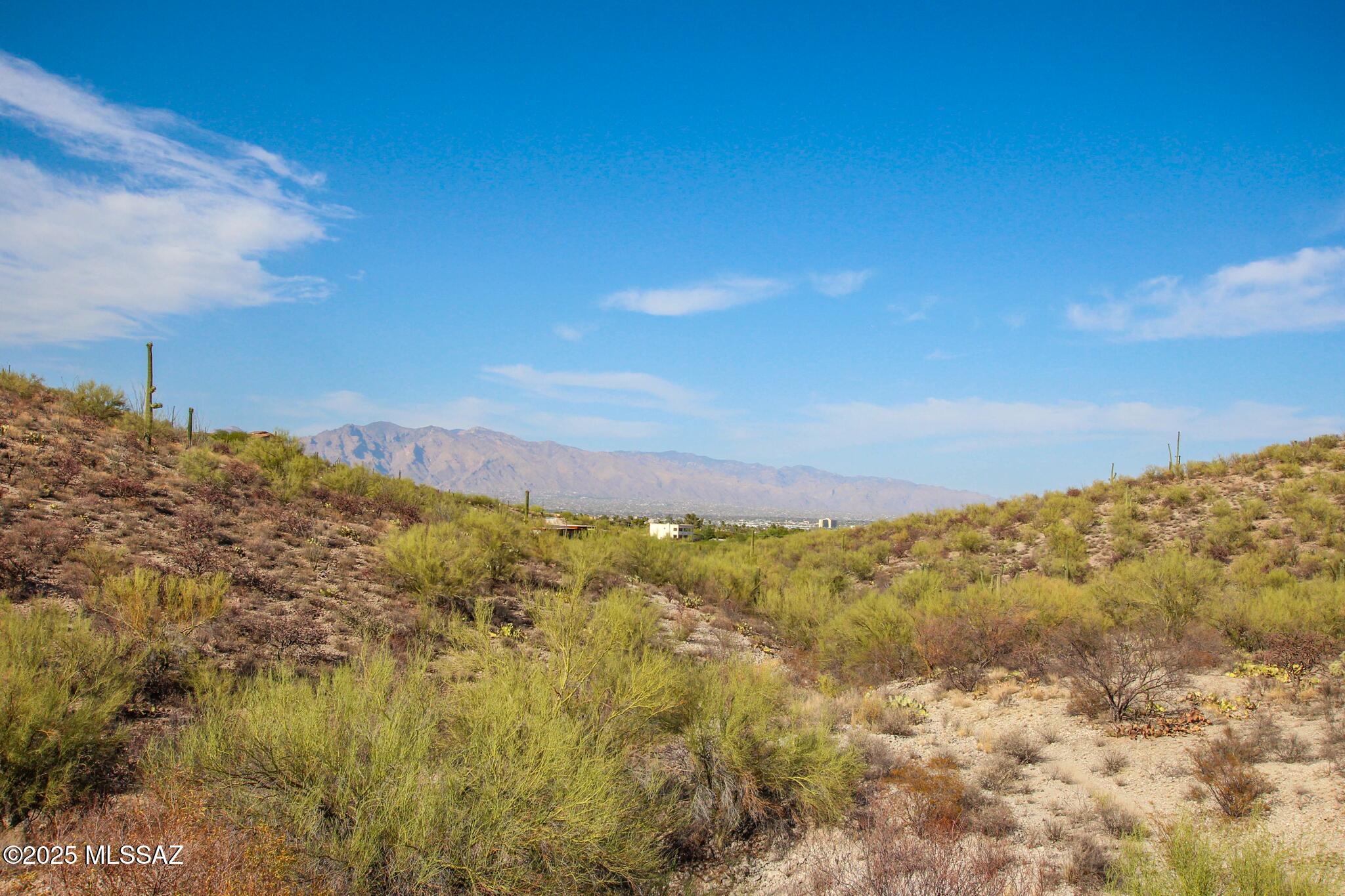 Coyote Pass Amended - Land