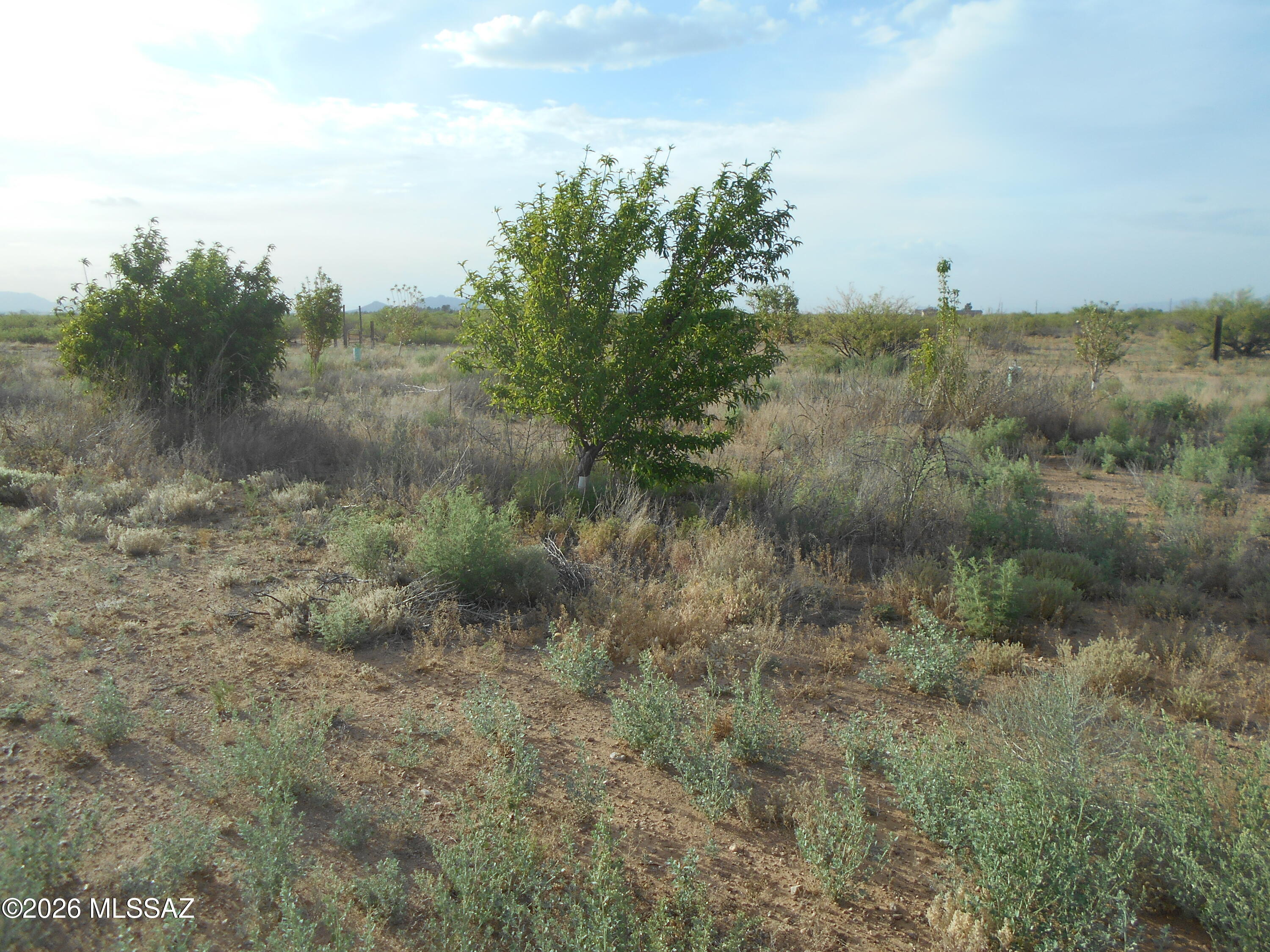 Ash Creek Ranch - Land