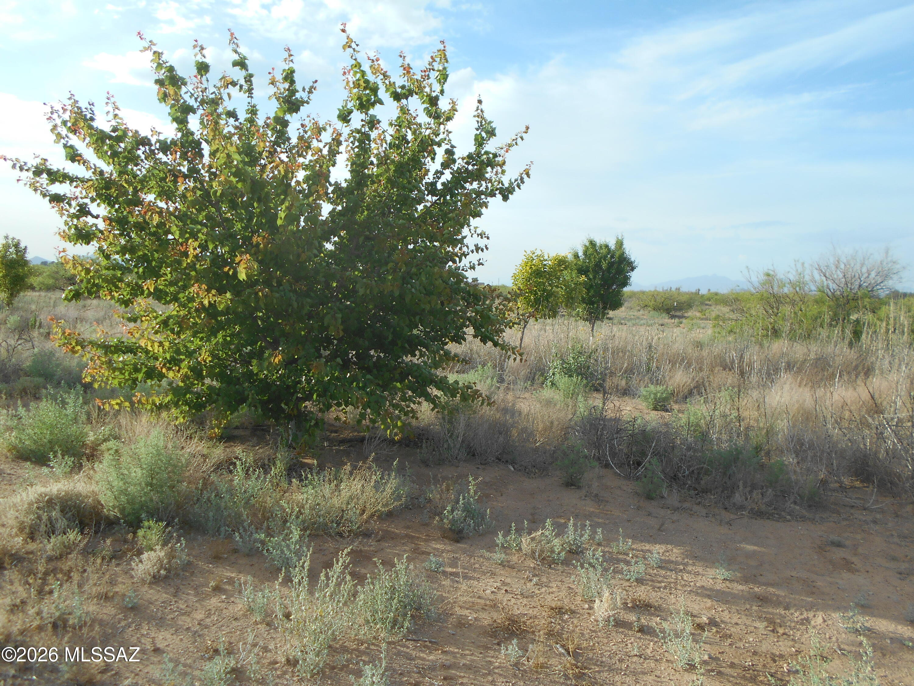 Ash Creek Ranch - Land