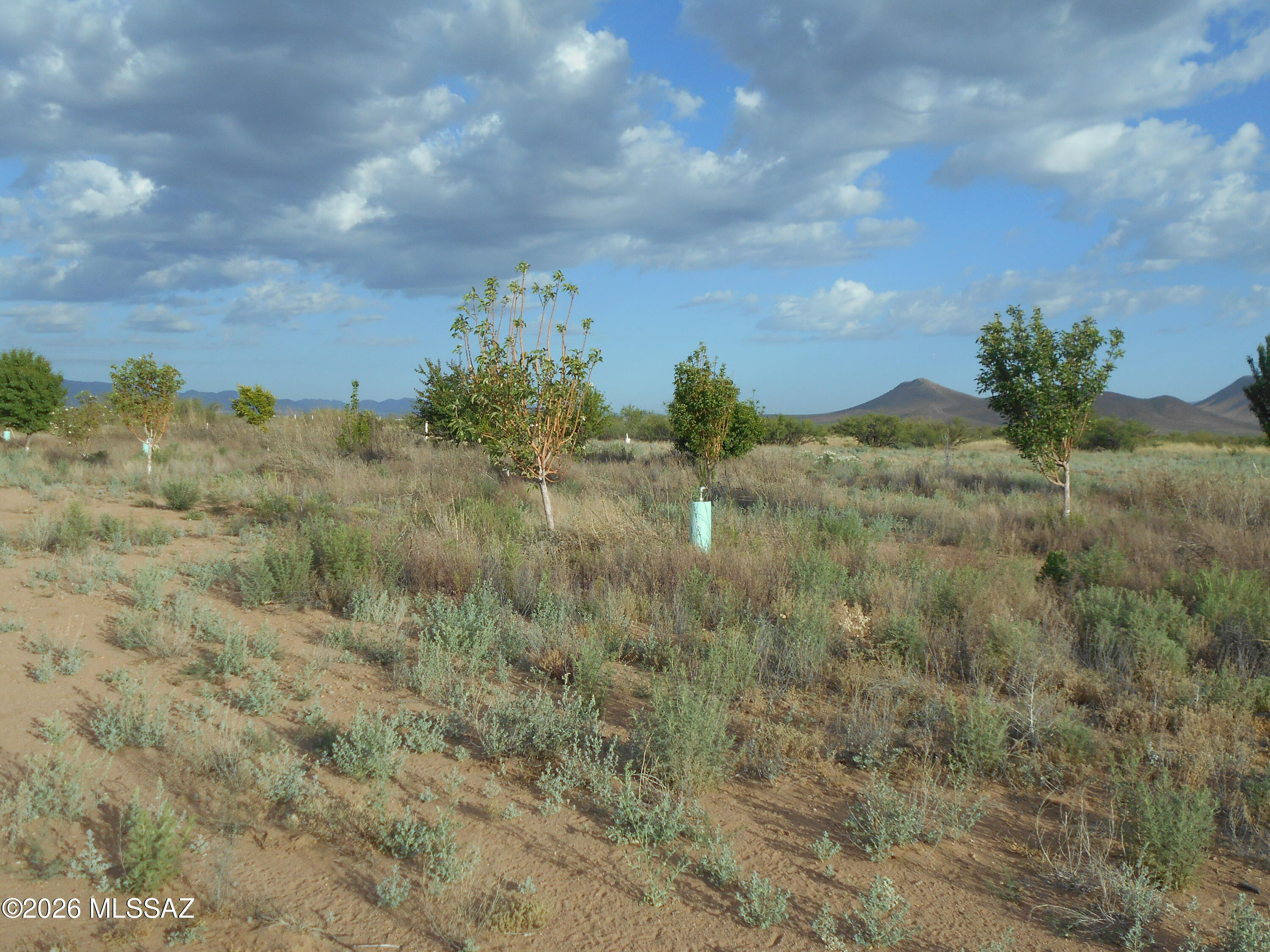 Ash Creek Ranch - Land