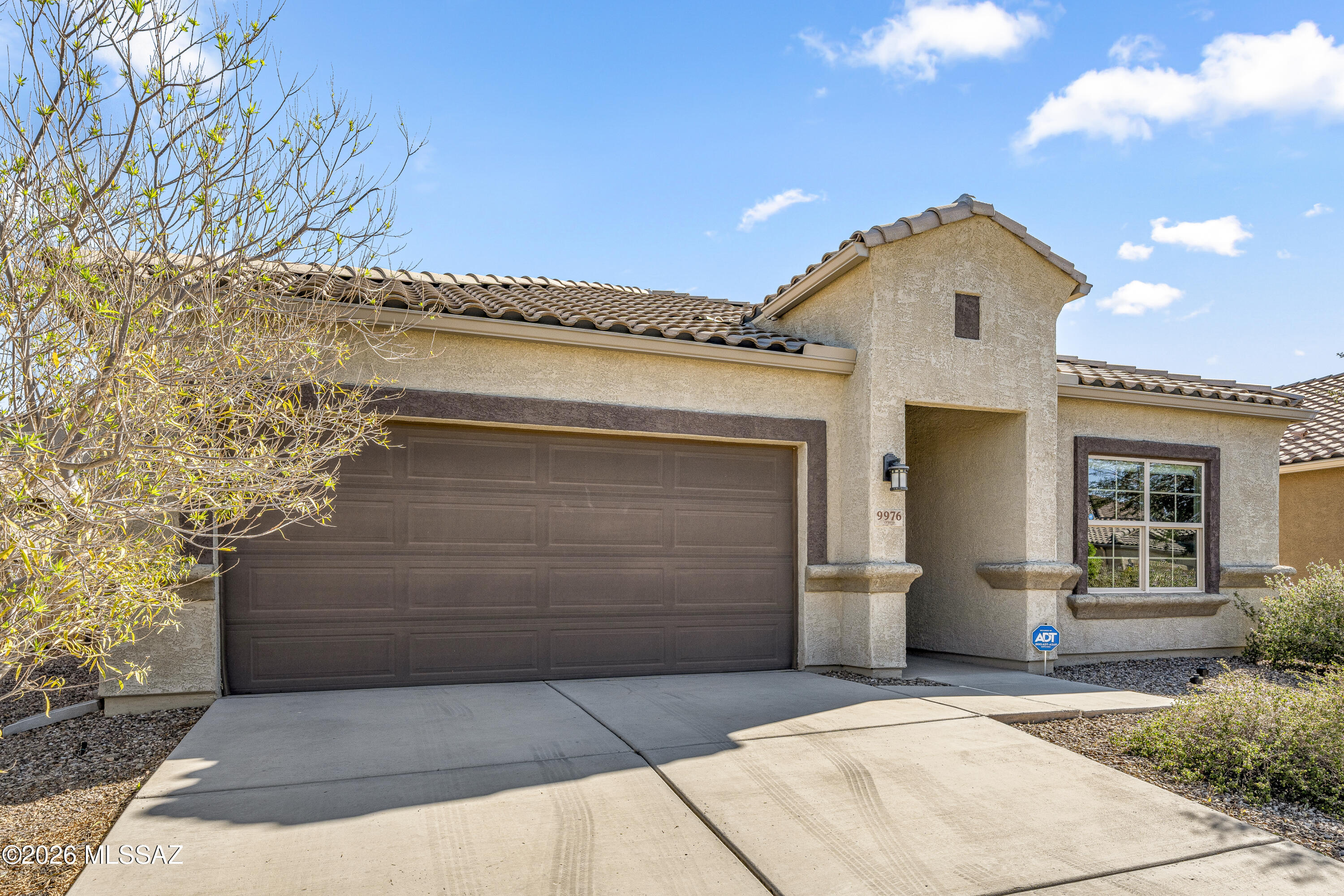Saguaro Bloom 7A - Residential