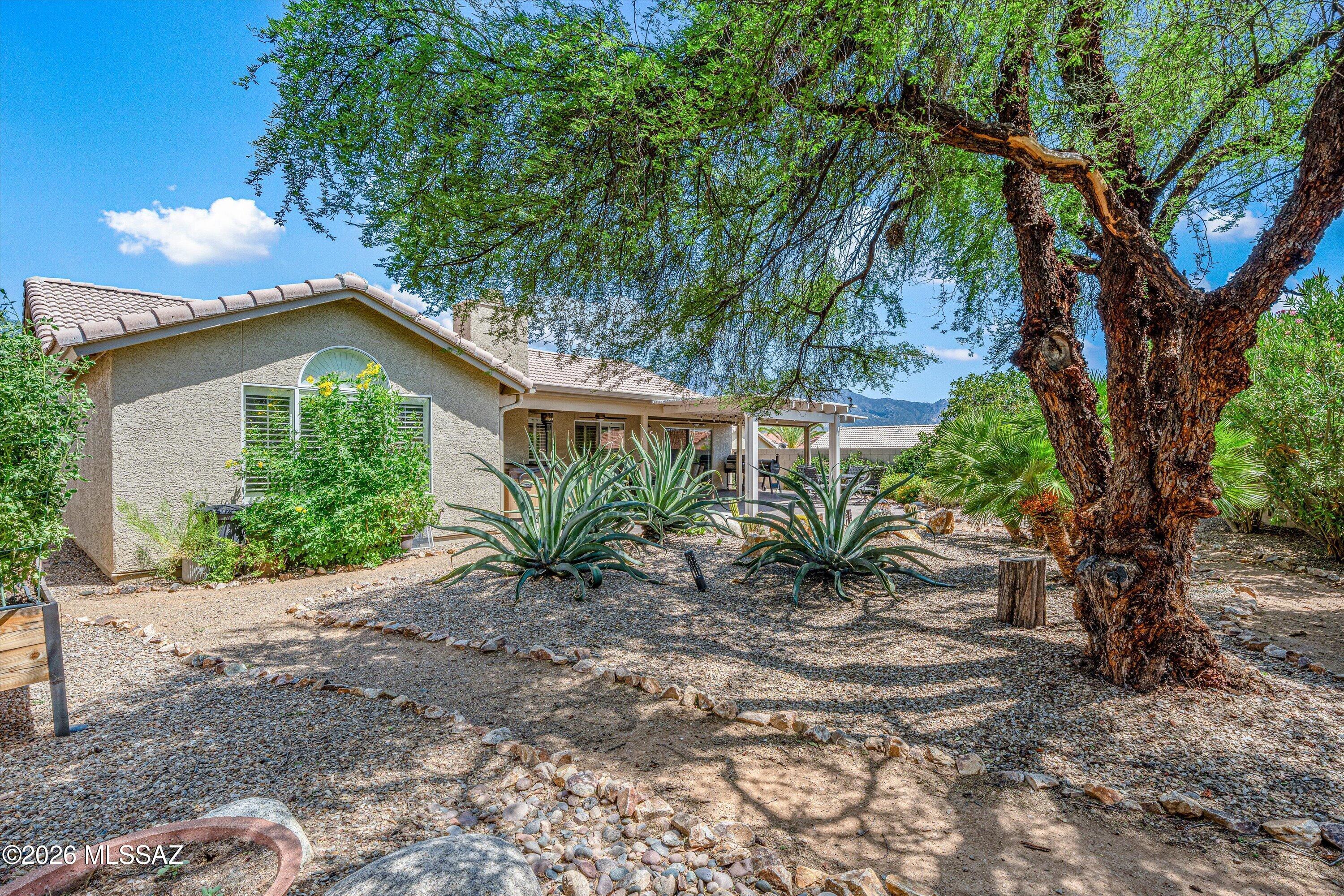 Saddlebrooke - Residential