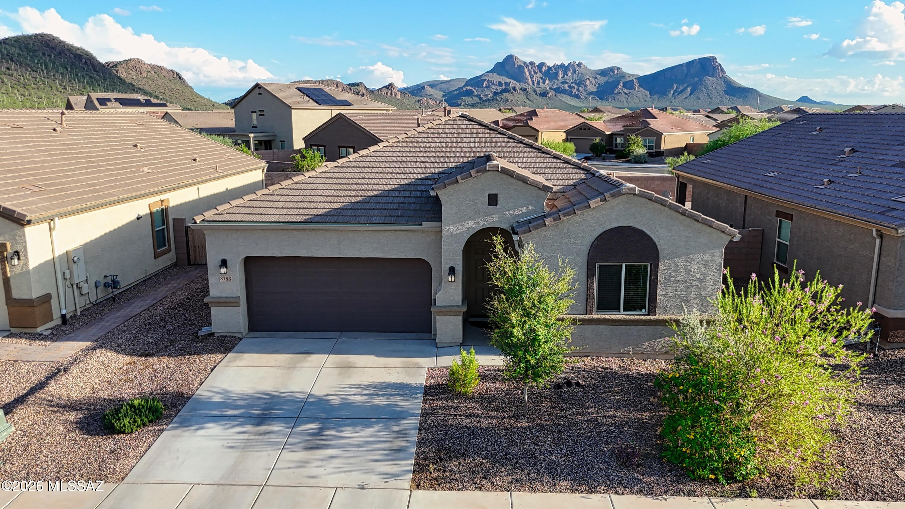 Saguaro Bloom 7B - Residential