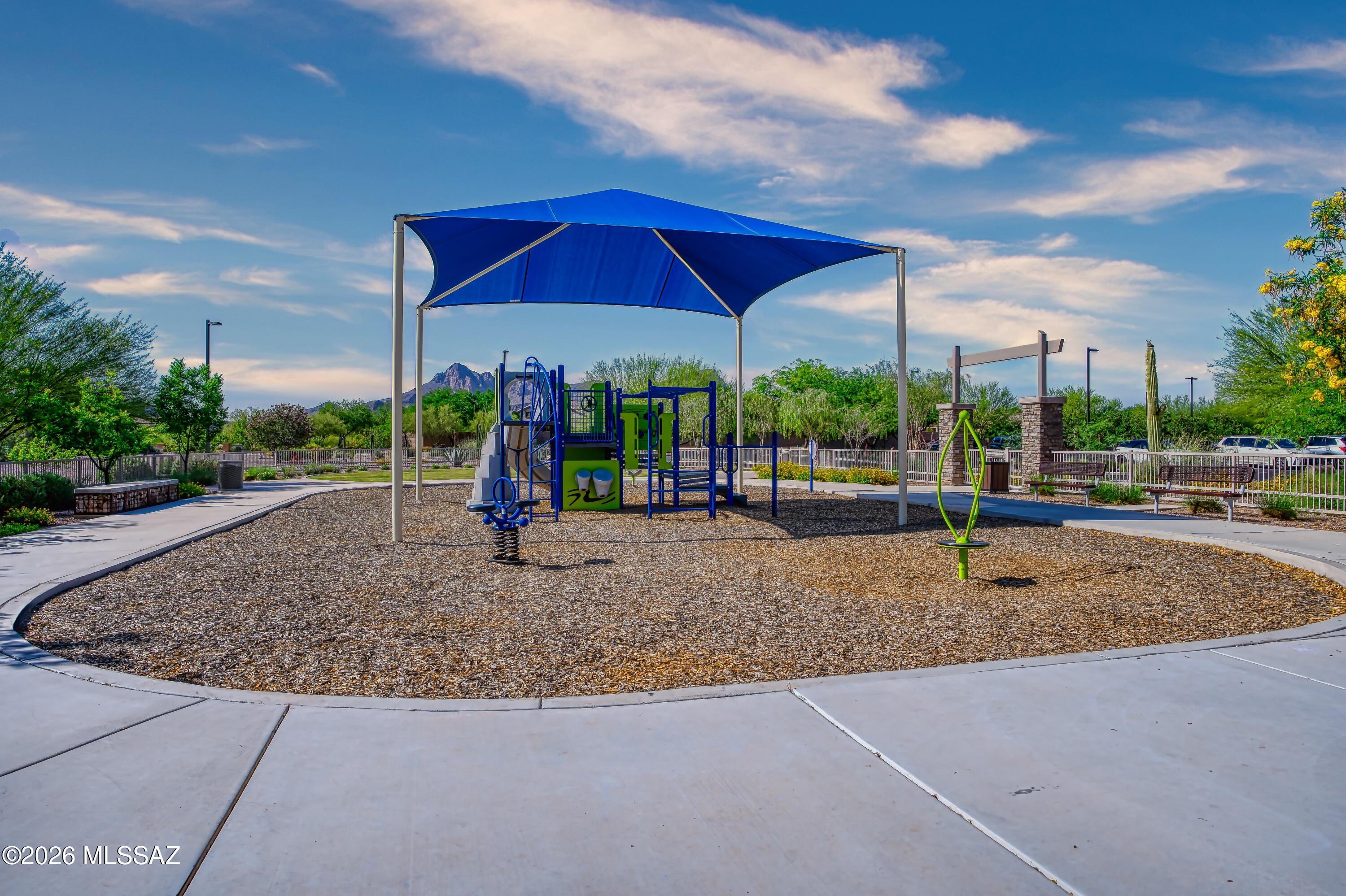 Saguaro Bloom 7B - Residential