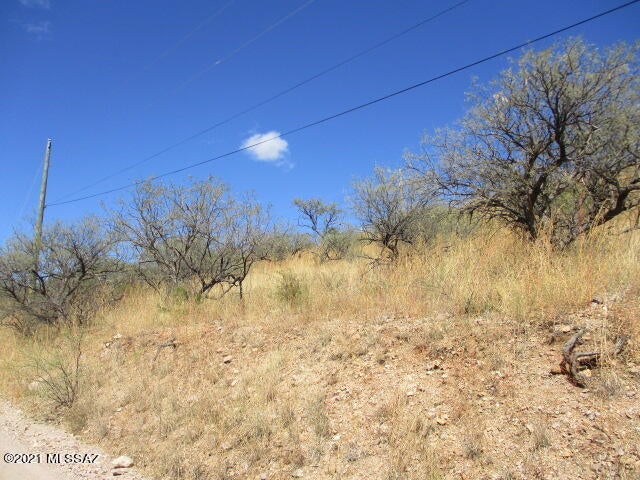 Rio Rico Ranchettes - Land