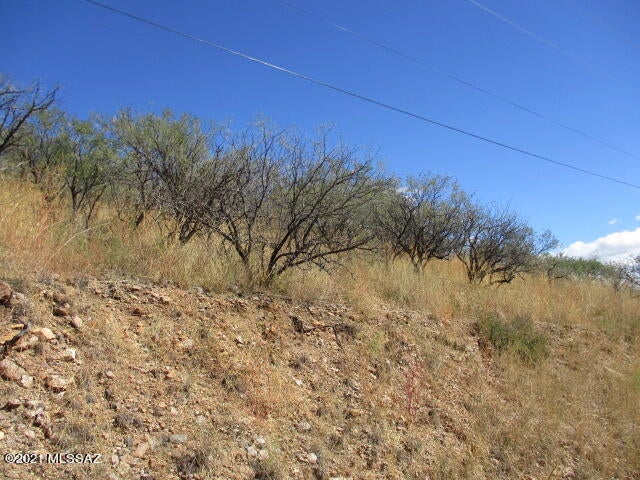 Rio Rico Ranchettes - Land