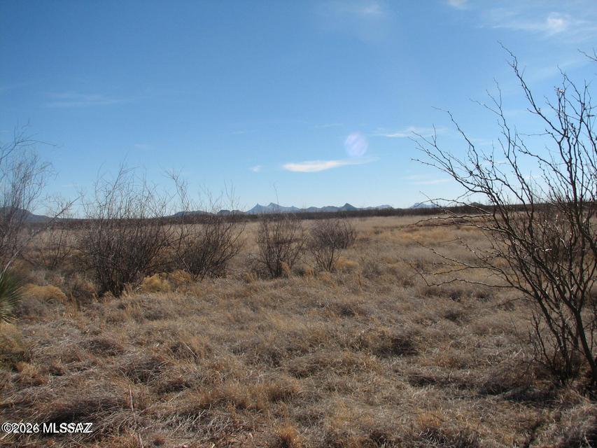 Spacious 40.44 acres of level, grassland with panoramic views of the mountains.   Excellent location for a country mini-ranch.   Children, Horses, Chickens and of course a family garden.
Build a home of your dreams or set a manufactured home.   Affordably priced for a growing family.  No HOA !