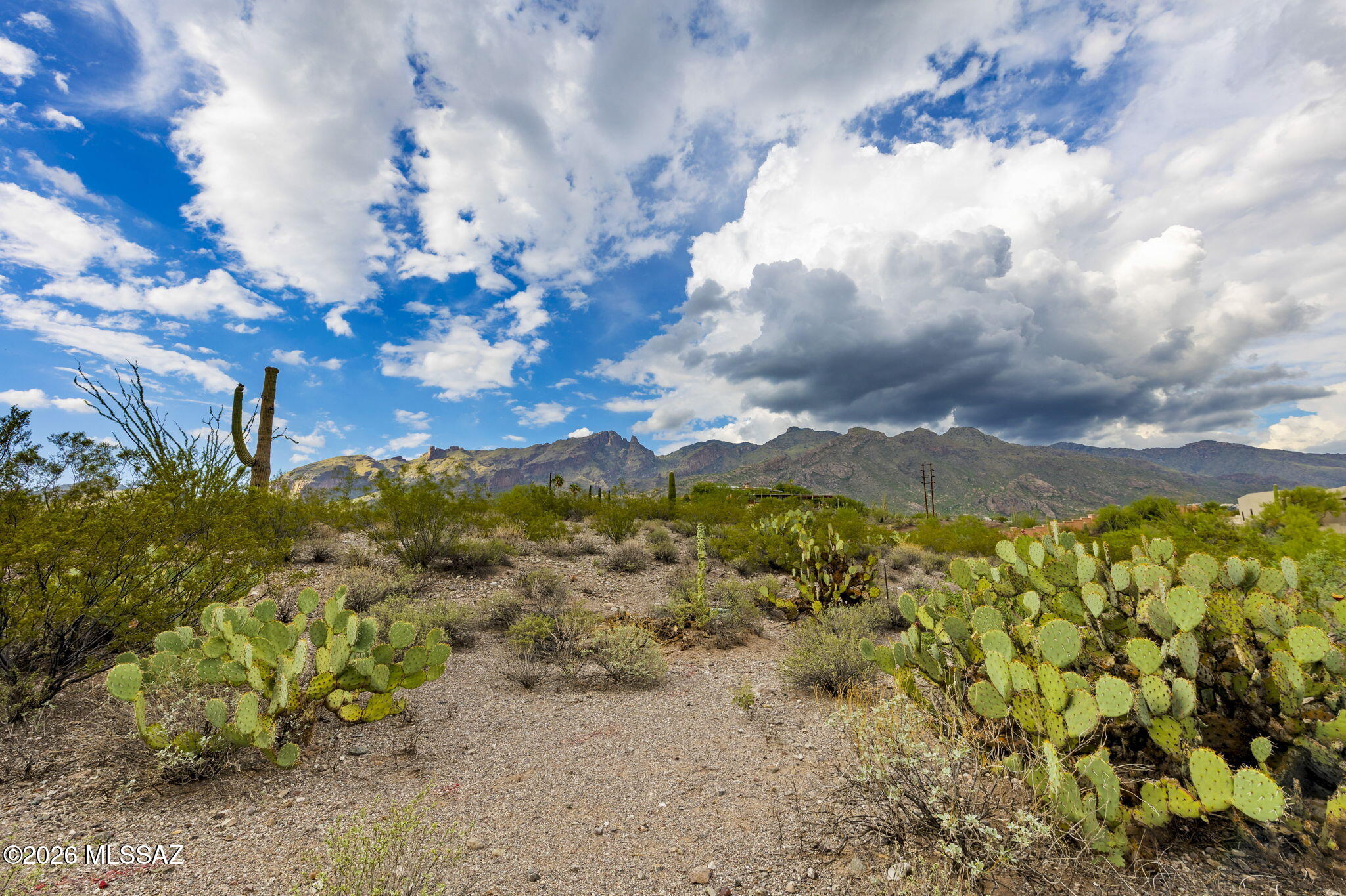 La Paloma Ridge Estates I (1-69) - Land
