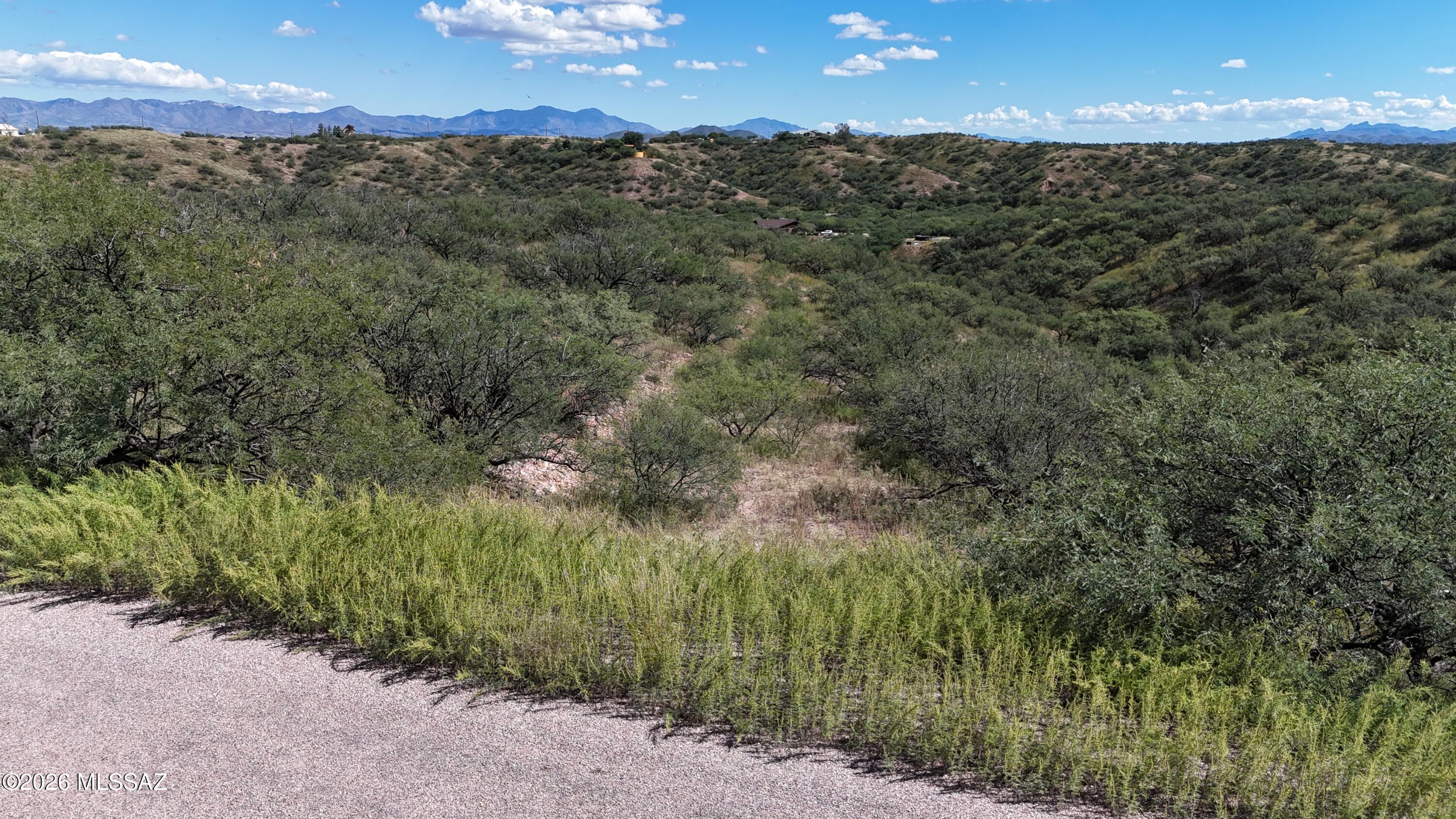 Rio Rico Ranchettes 5 - Land