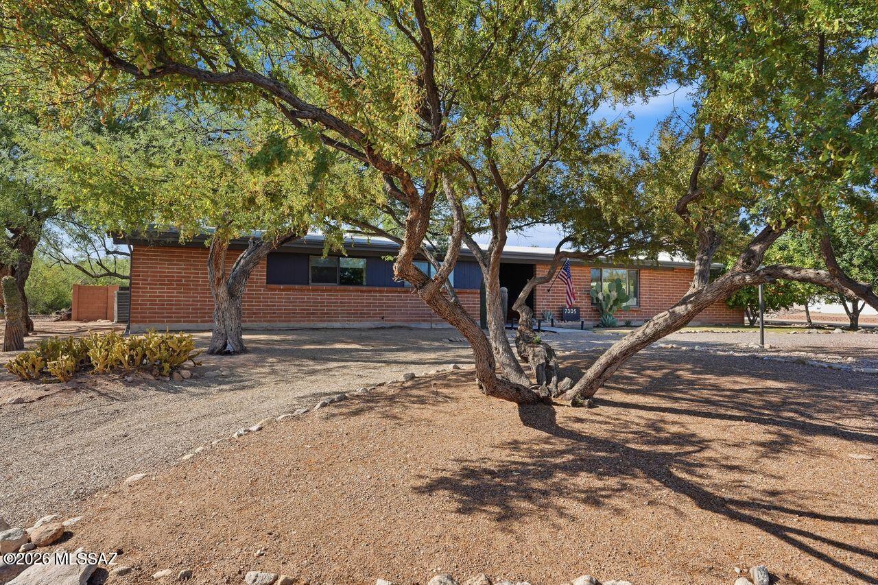 Designer's Delight in Sabino Vista! Custom contemporary touches, maple paneling, two wood-burning fireplaces, and extra family room/den by the upgraded kitchen with Morrocan Zillige tile backsplash. Front turfed courtyard off kitchen ideal for dining, relaxing, or play. Inside; dual-pane windows, modern fixtures, new closet doors, generous closets (some wallpapered!), spacious laundry with storage. Carport w/ storage, EV-ready outlet and access to electric shed. Newer HVAC & water heater. Corner lot backyard for entertaining: covered patio, Bocce Ball court, double-gate RV access. Grapefruit, lemon and pomegranate trees. No HOA!
